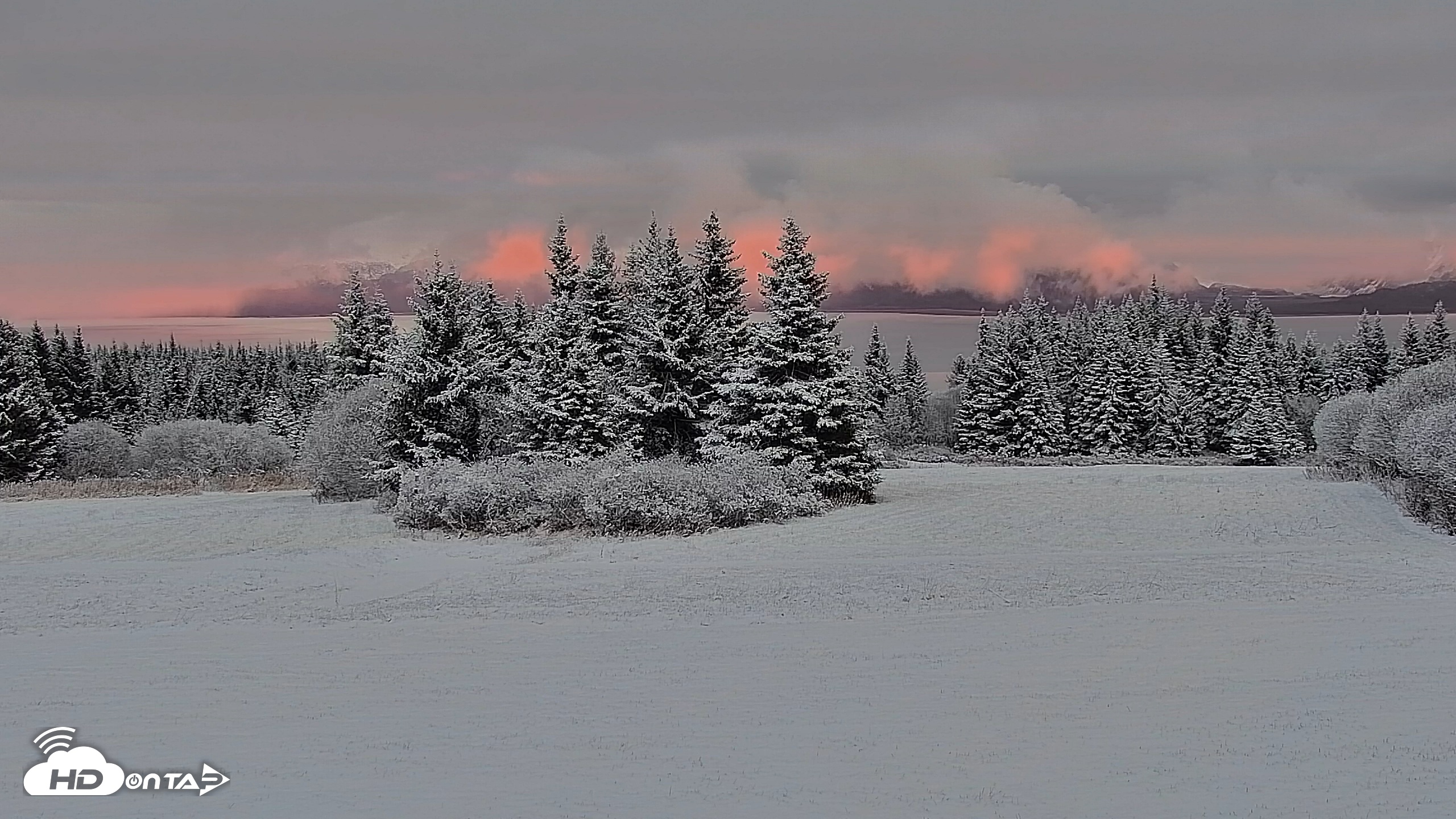 Snapshot of Inspiration Ridge - Homer Alaska Live Webcam taken Nov 4, 2025, 6:54pm AKST