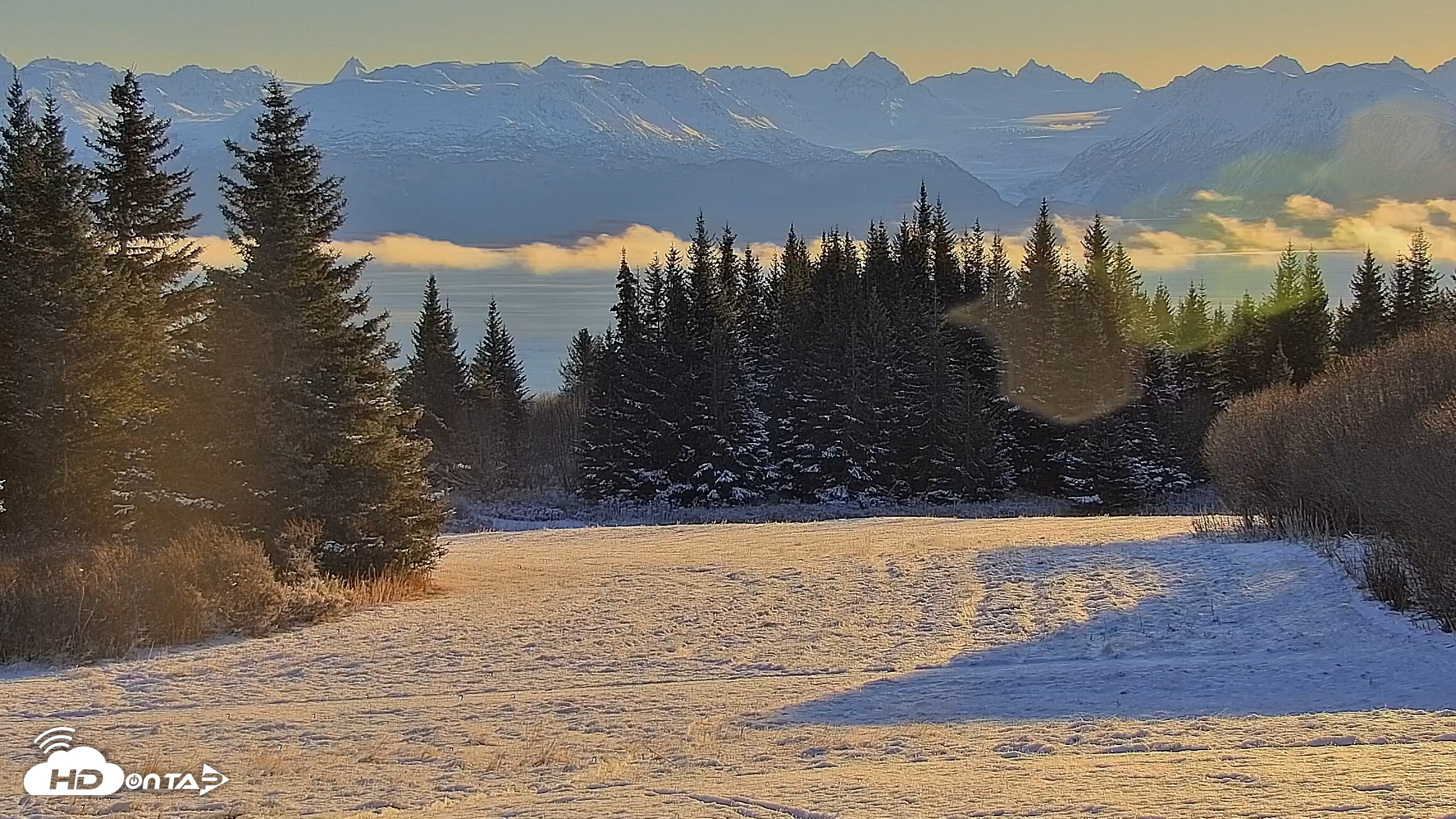 Snapshot of Inspiration Ridge - Homer Alaska Live Webcam taken Nov 9, 2025, 10:07am AKST