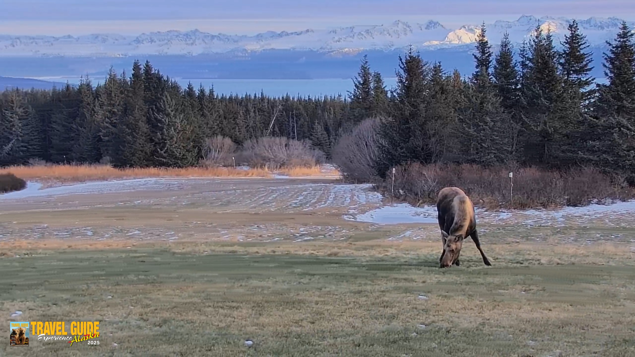 Snapshot of Inspiration Ridge - Homer Alaska Live Webcam taken Dec 22, 2025, 2:13pm AKST