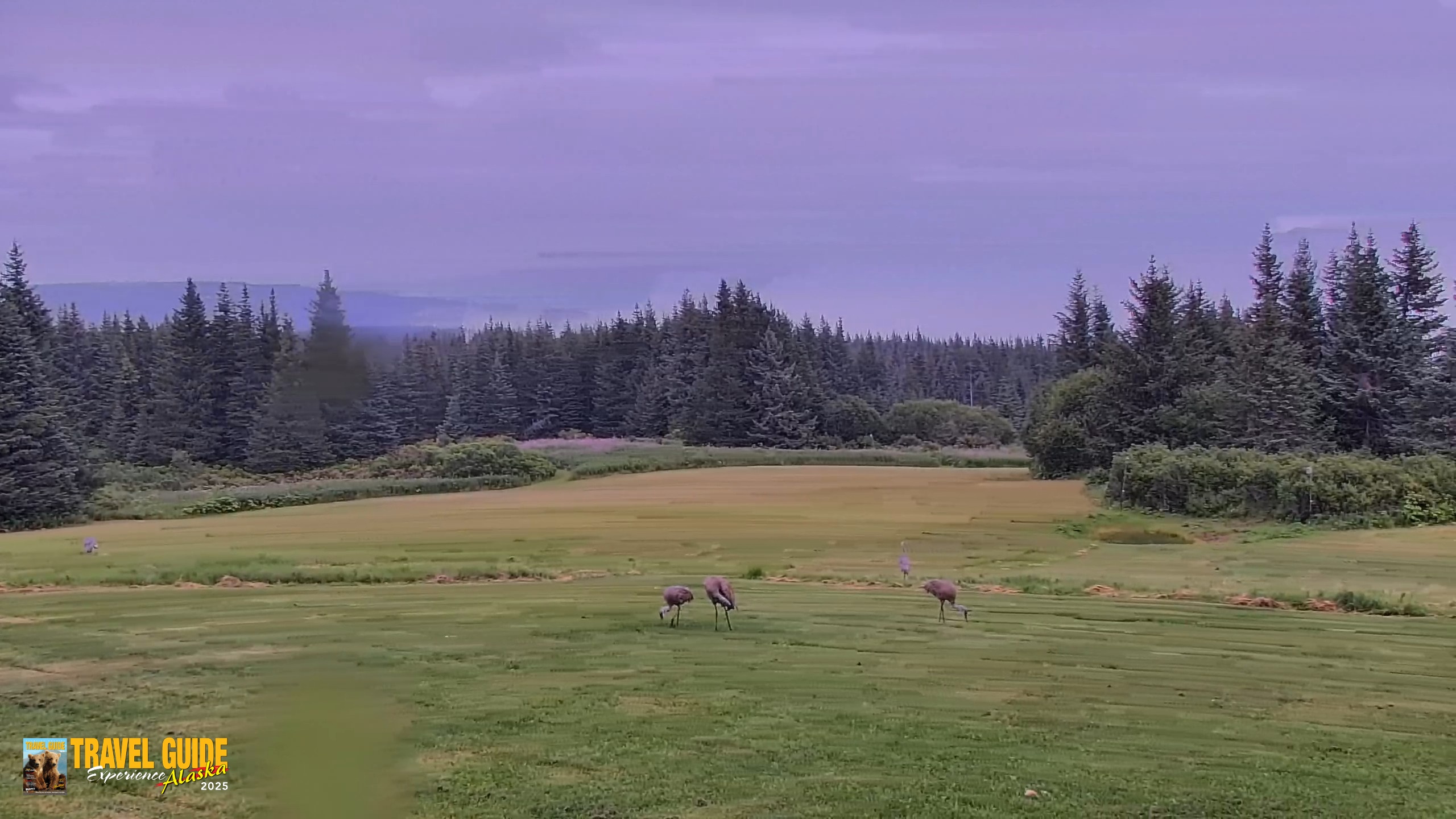 Snapshot of Inspiration Ridge - Homer Alaska Live Webcam taken Aug 19, 2026, 5:22pm AKDT