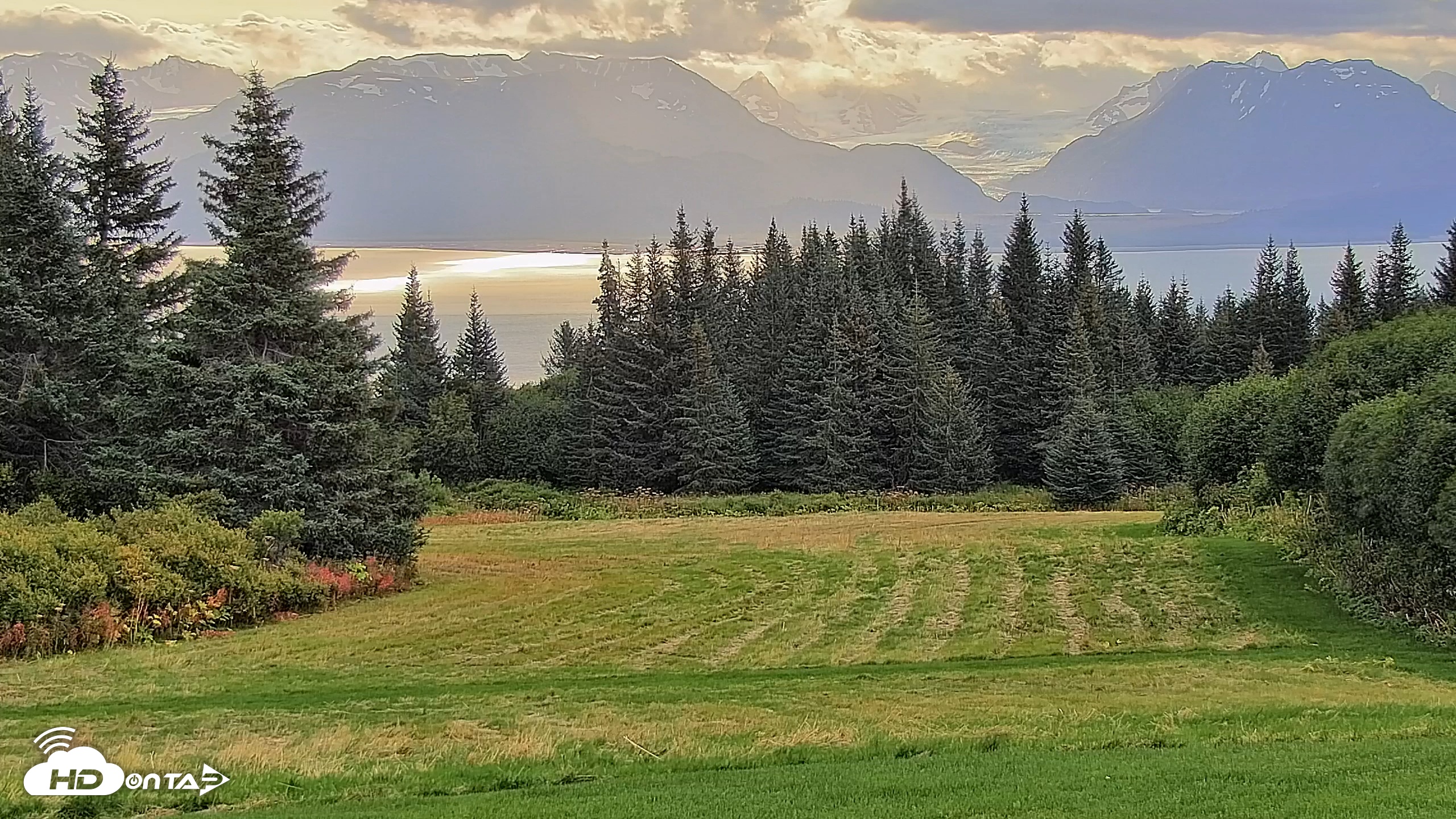 Snapshot of Inspiration Ridge - Homer Alaska Live Webcam taken Sep 7, 2025, 9:37am AKDT
