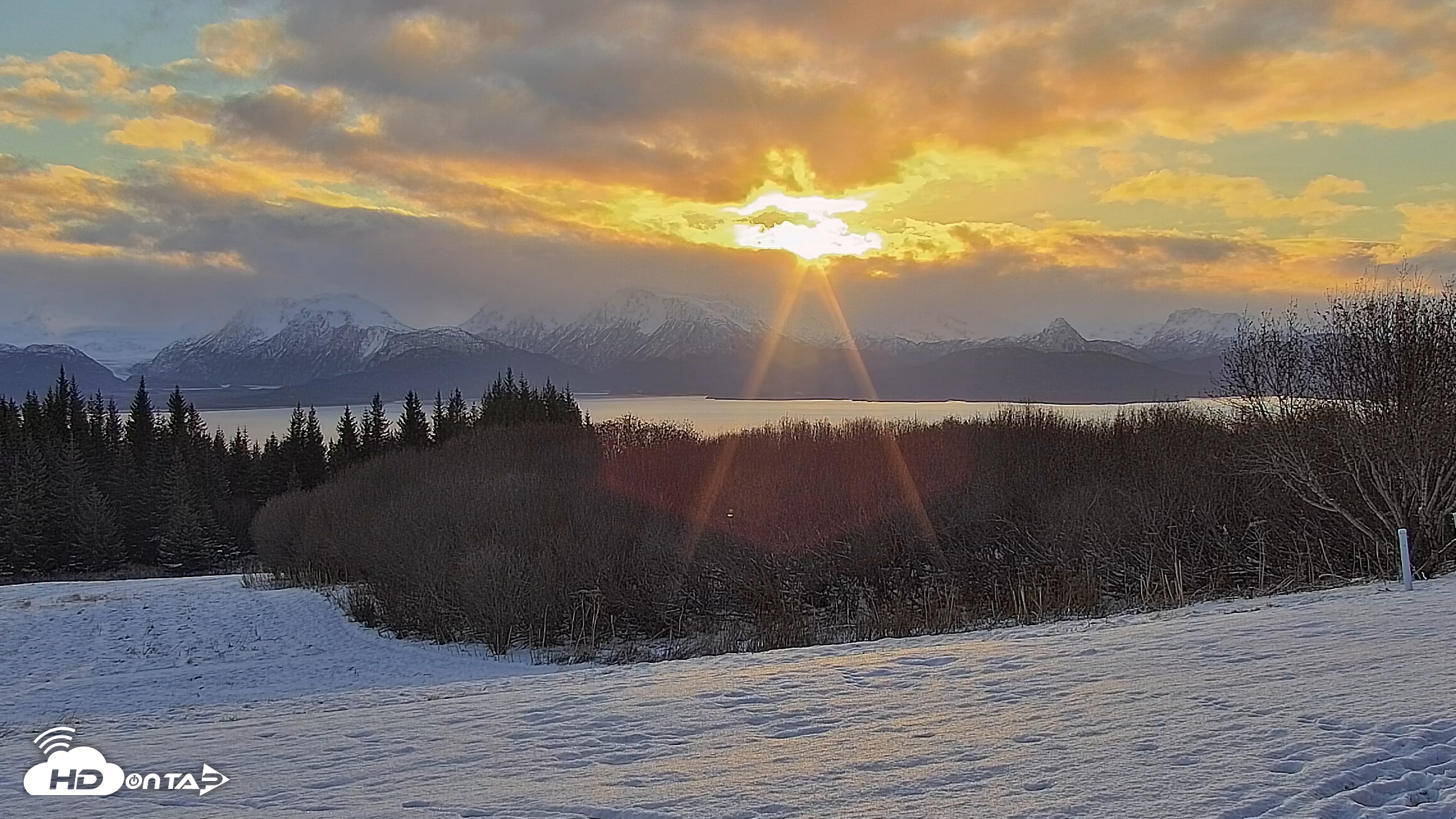 Snapshot of Inspiration Ridge - Homer Alaska Live Webcam taken Nov 19, 2025, 9:52am AKST