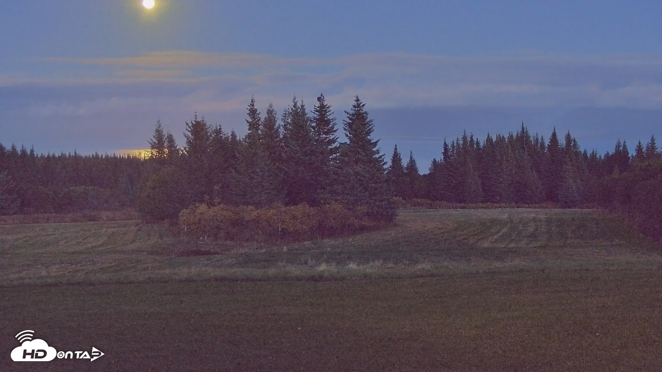 Snapshot of Inspiration Ridge - Homer Alaska Live Webcam taken Oct 6, 2025, 8:09pm AKDT