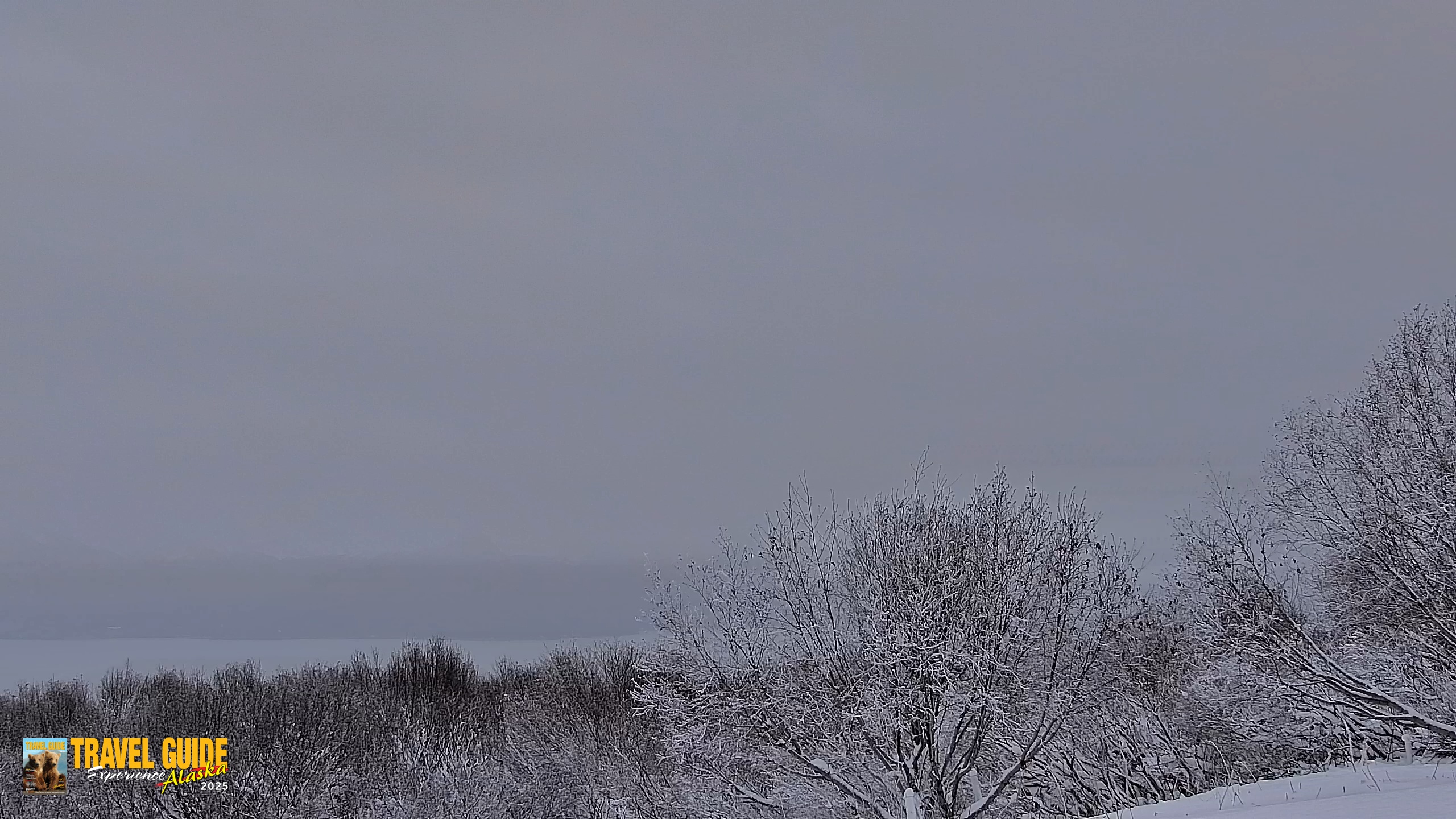 Snapshot of Inspiration Ridge - Homer Alaska Live Webcam taken Jan 14, 2026, 4:16pm AKST