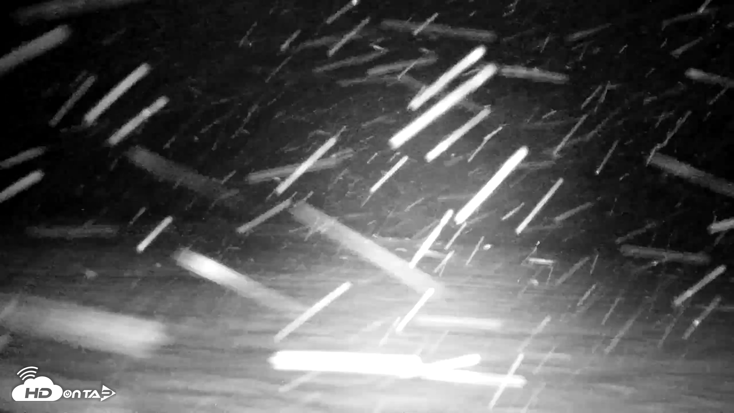 Snapshot of Inspiration Ridge - Homer Alaska Live Webcam taken Nov 21, 2025, 7:04pm AKST