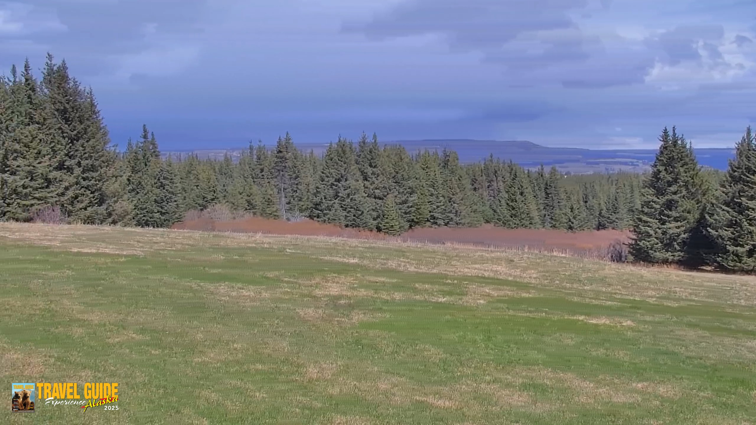 Snapshot of Inspiration Ridge - Homer Alaska Live Webcam taken May 29, 2026, 2:20pm AKDT