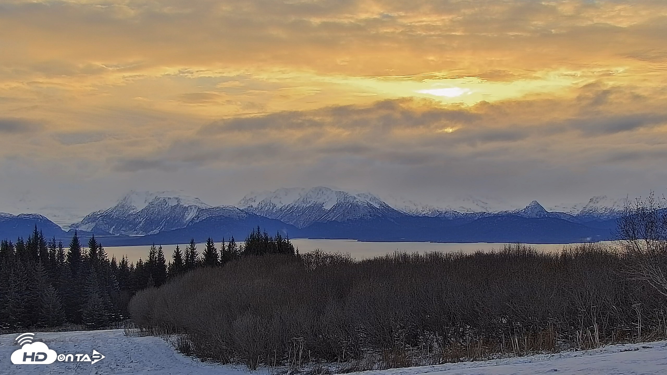 Snapshot of Inspiration Ridge - Homer Alaska Live Webcam taken Nov 14, 2025, 10:05am AKST