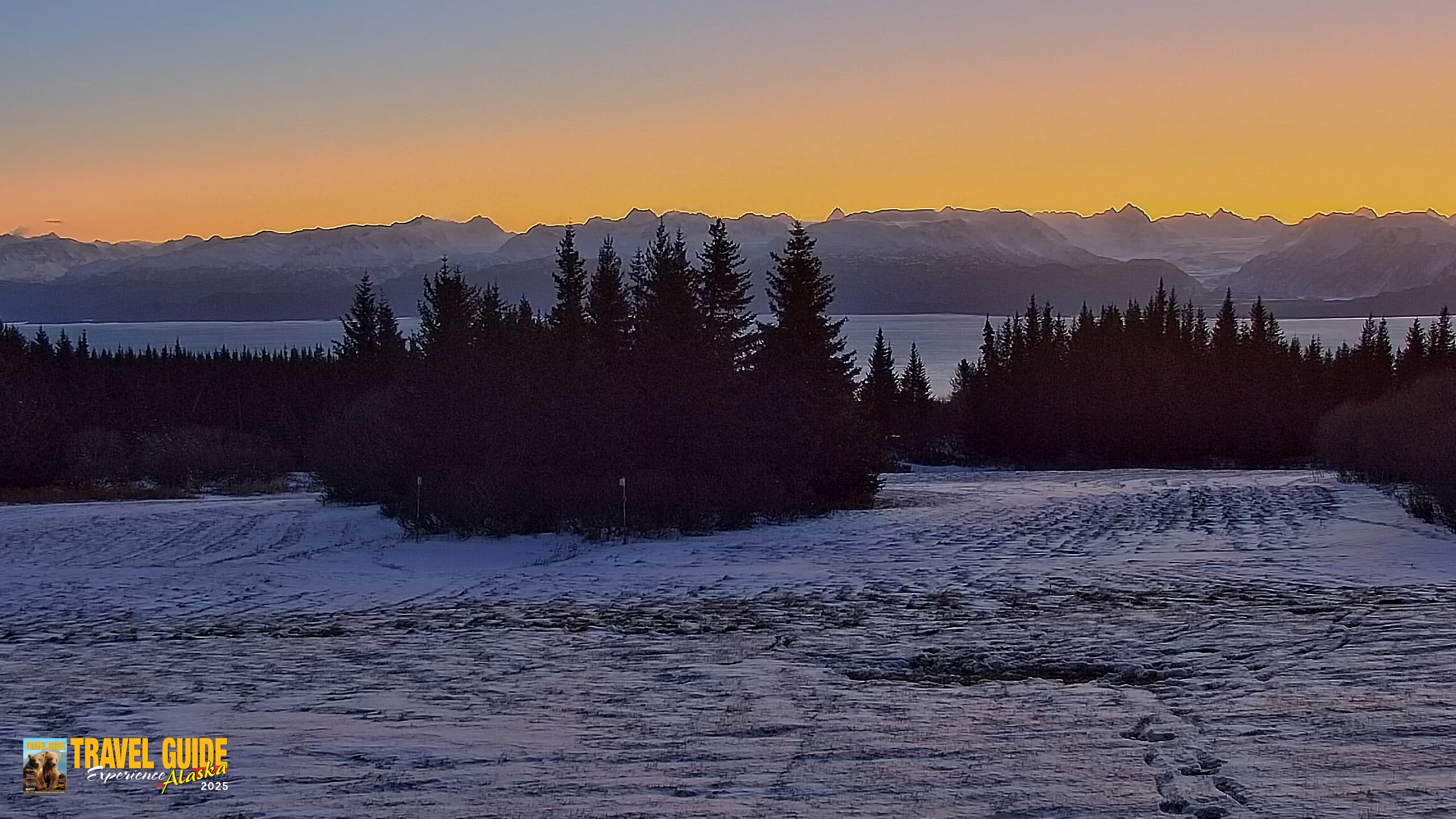 Snapshot of Inspiration Ridge - Homer Alaska Live Webcam taken Dec 31, 2025, 10:54am AKST