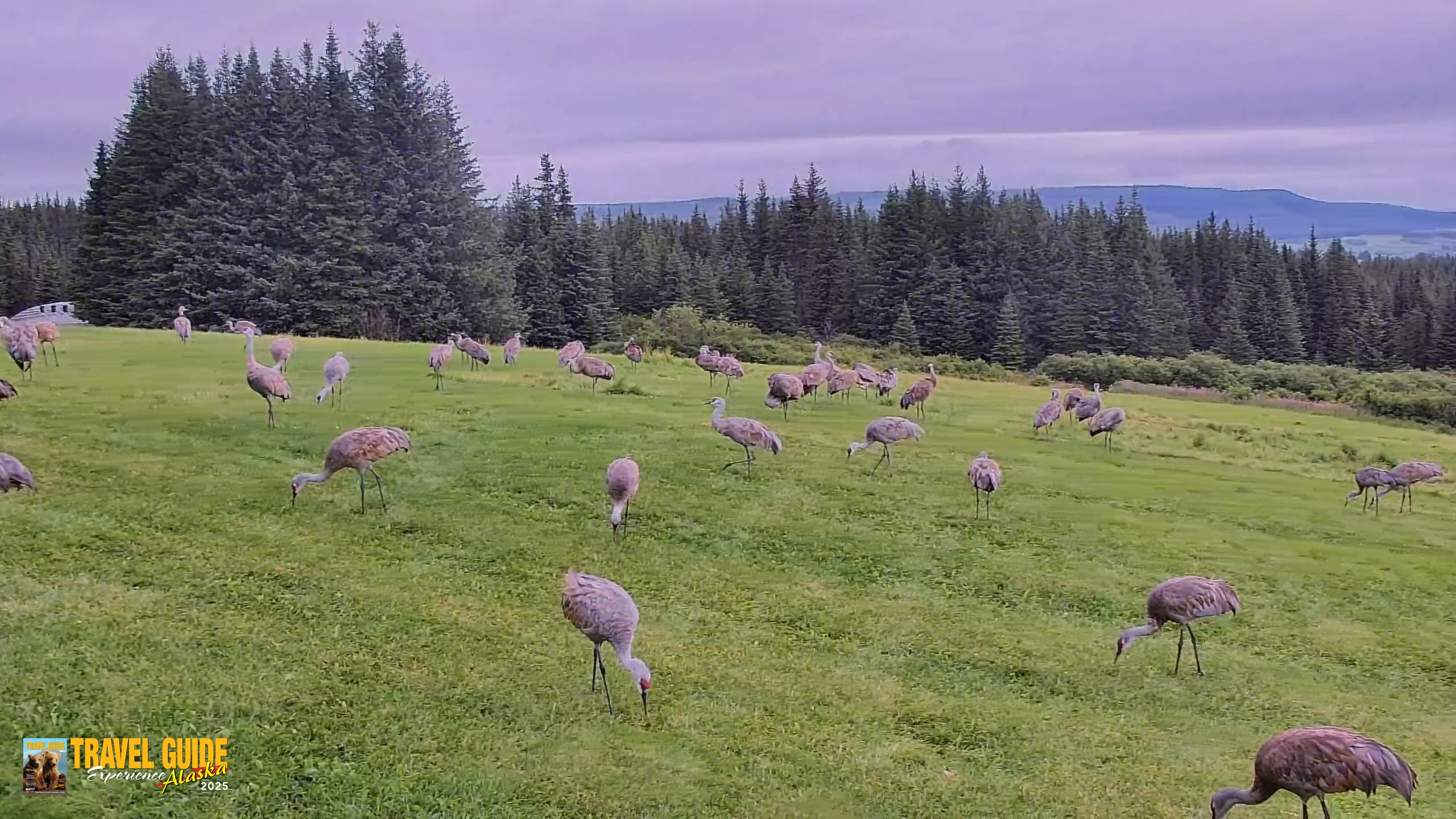 Snapshot of Inspiration Ridge - Homer Alaska Live Webcam taken Aug 28, 2026, 12:30pm AKDT
