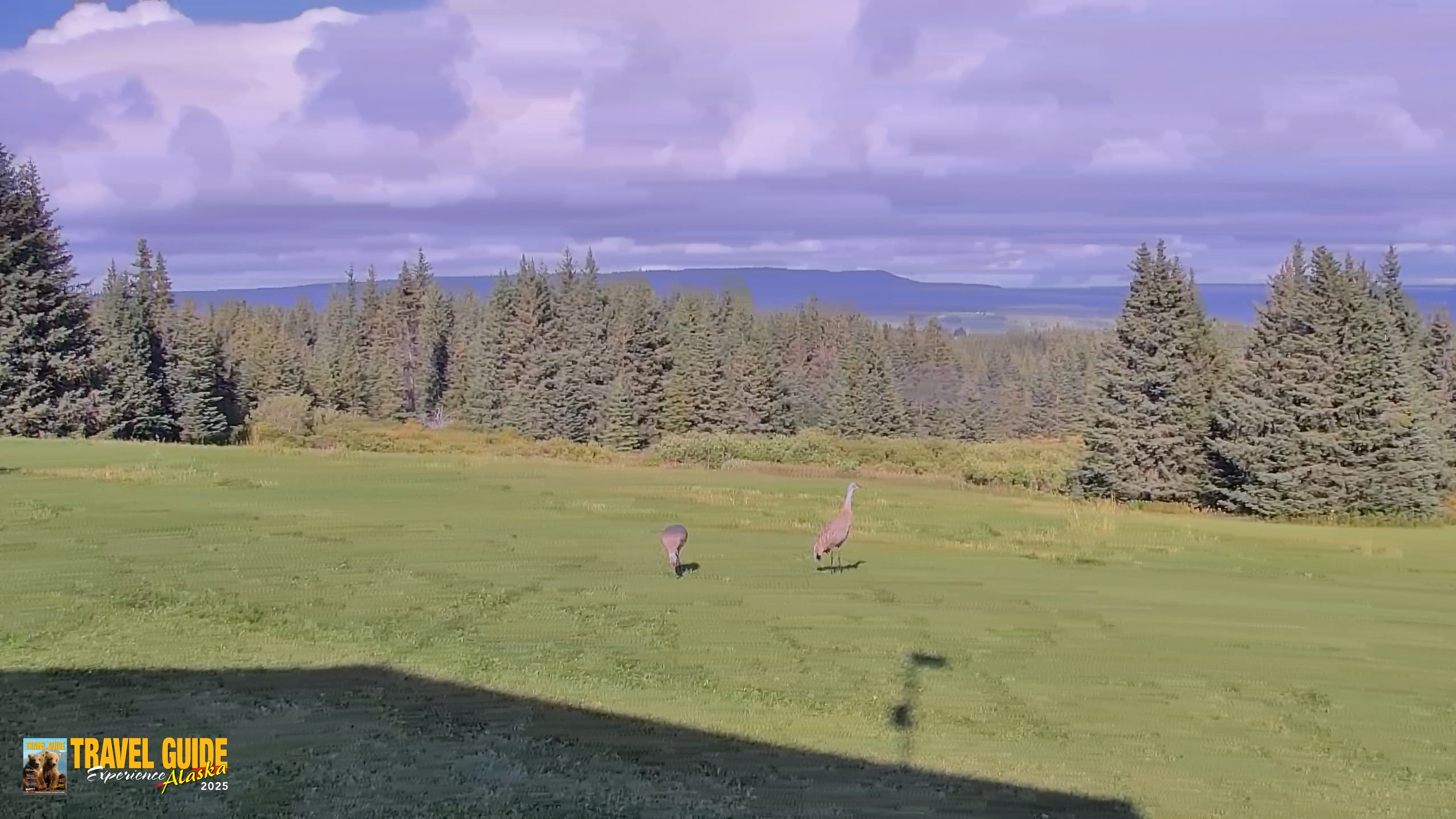 Snapshot of Inspiration Ridge - Homer Alaska Live Webcam taken Sep 8, 2026, 4:05pm AKDT