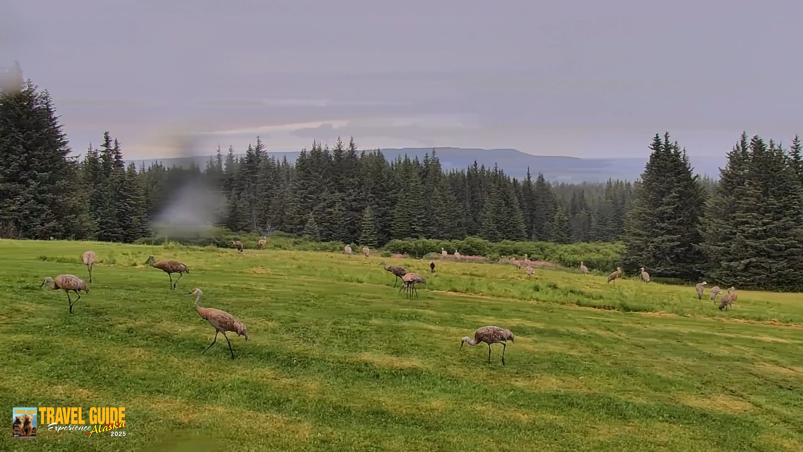 Snapshot of Inspiration Ridge - Homer Alaska Live Webcam taken Aug 19, 2026, 5:41pm AKDT