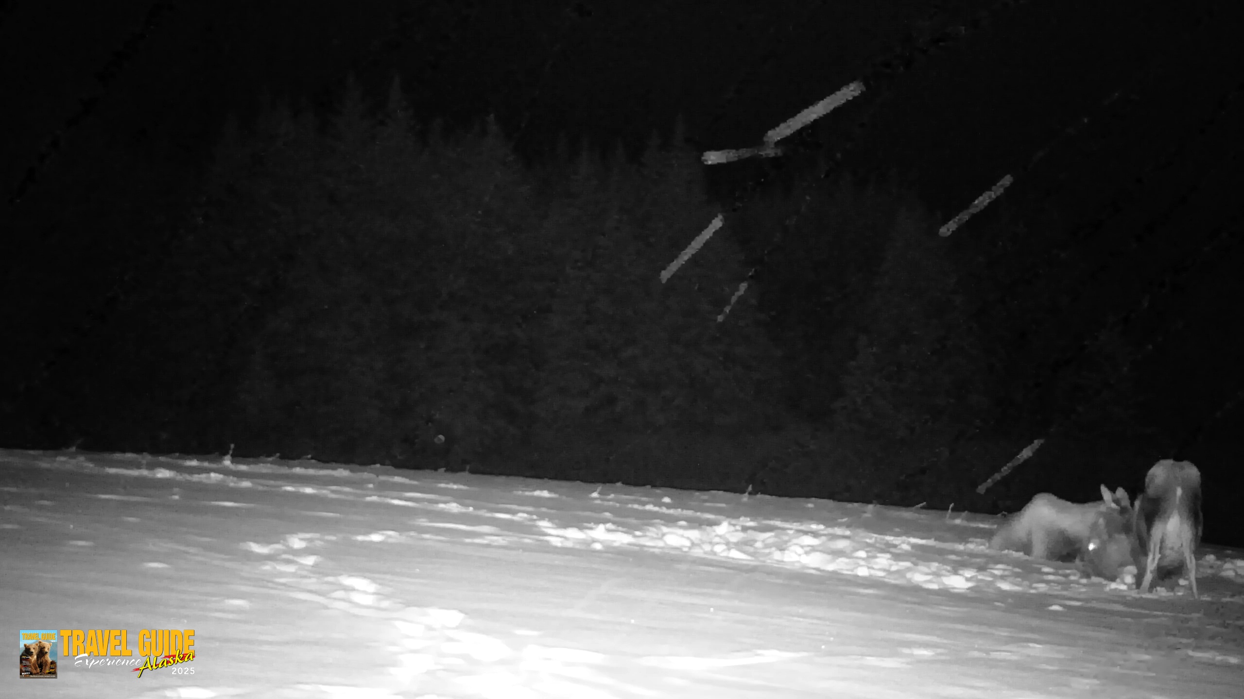 Snapshot of Inspiration Ridge - Homer Alaska Live Webcam taken Jan 14, 2026, 12:11am AKST