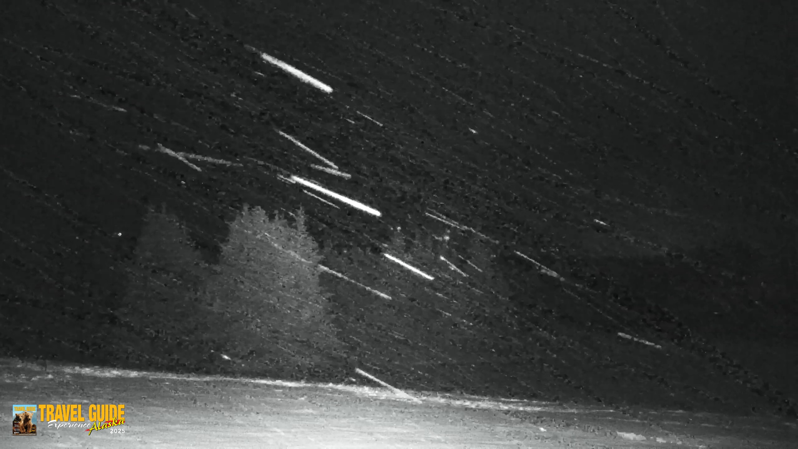 Snapshot of Inspiration Ridge - Homer Alaska Live Webcam taken Jan 12, 2026, 11:47pm AKST