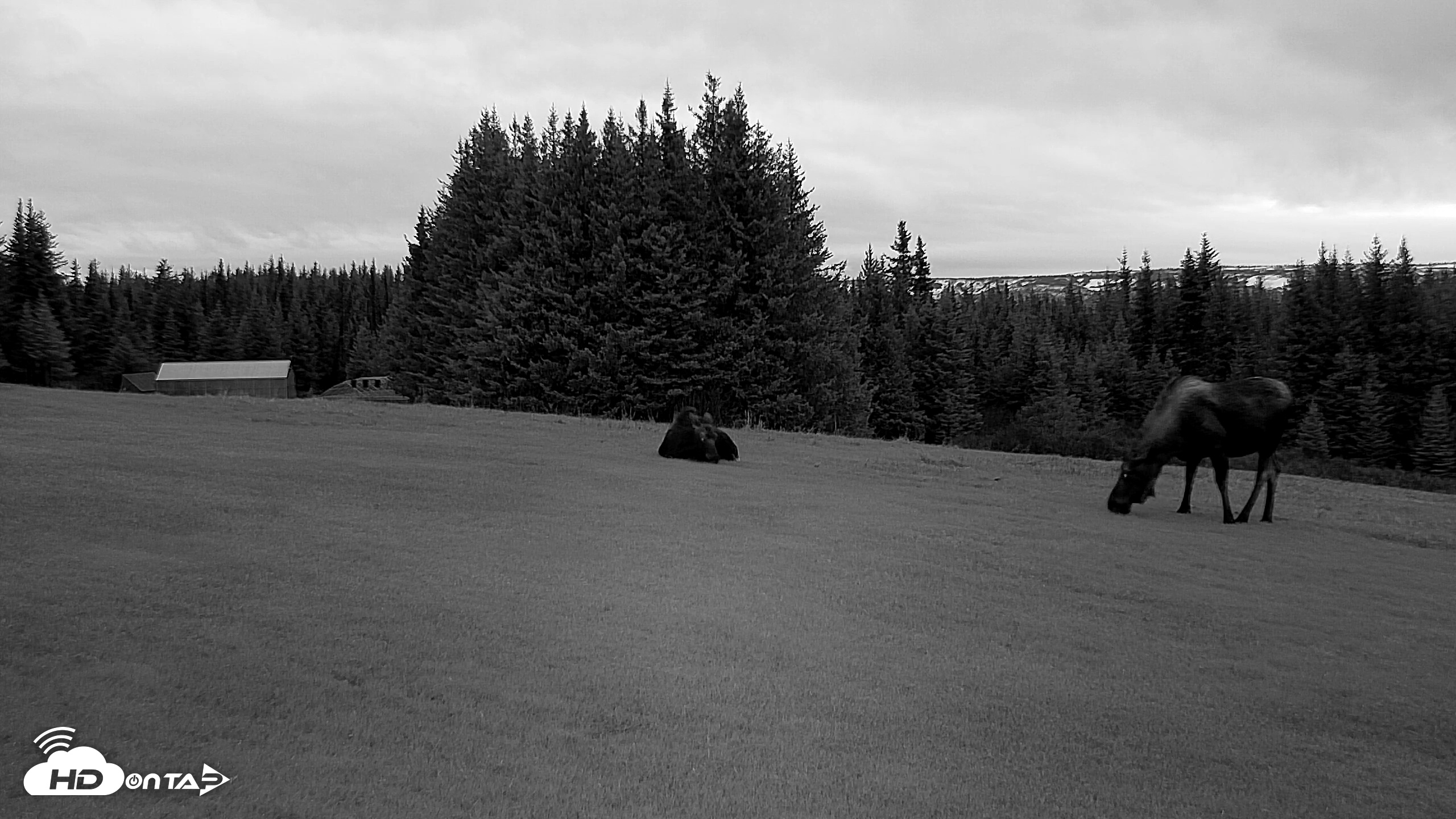 Snapshot of Inspiration Ridge - Homer Alaska Live Webcam taken Nov 2, 2025, 9:23am AKST