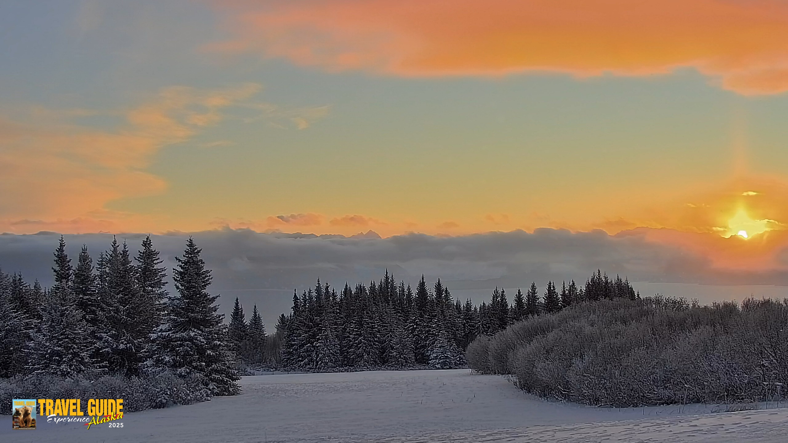 Snapshot of Inspiration Ridge - Homer Alaska Live Webcam taken Jan 14, 2026, 10:10am AKST
