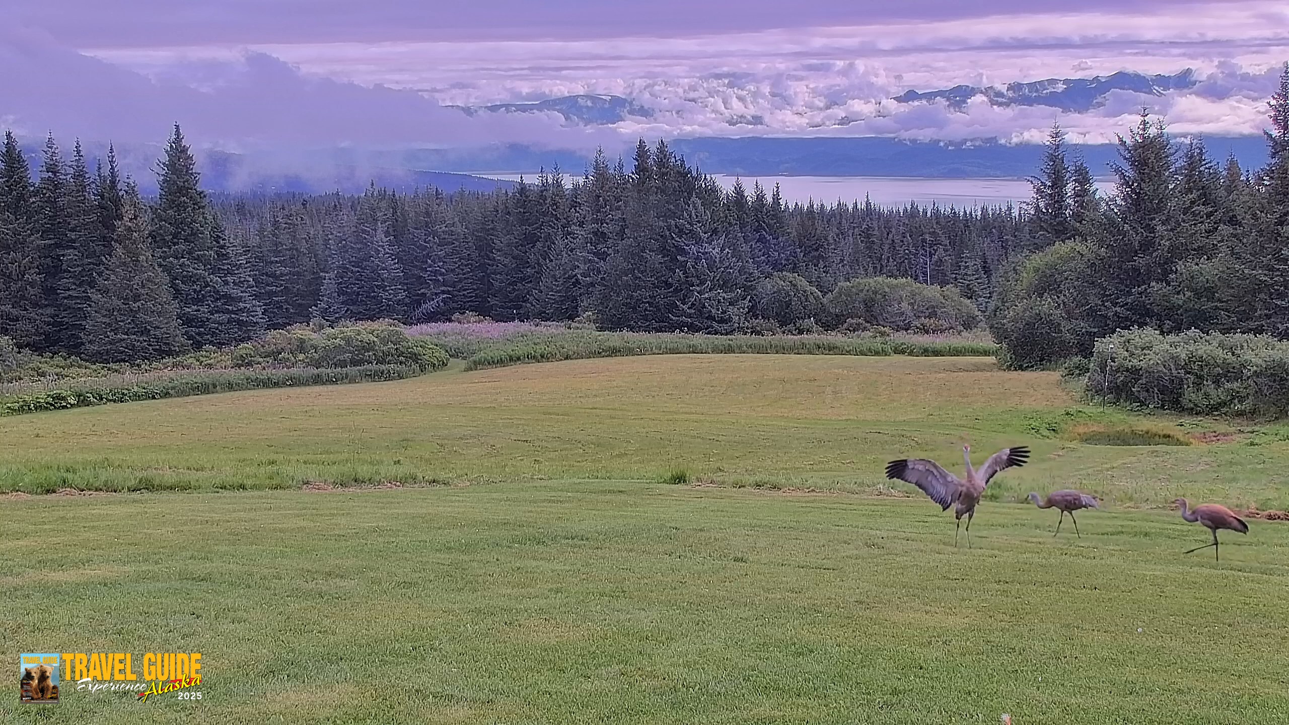 Snapshot of Inspiration Ridge - Homer Alaska Live Webcam taken Aug 21, 2026, 11:09am AKDT
