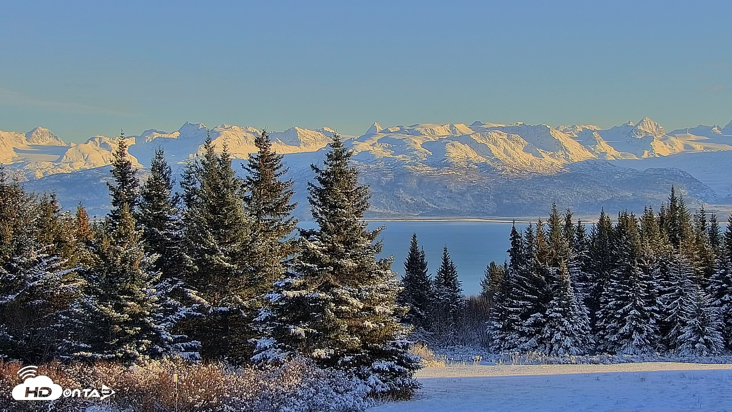 Snapshot of Inspiration Ridge - Homer Alaska Live Webcam taken Nov 24, 2025, 2:25pm AKST