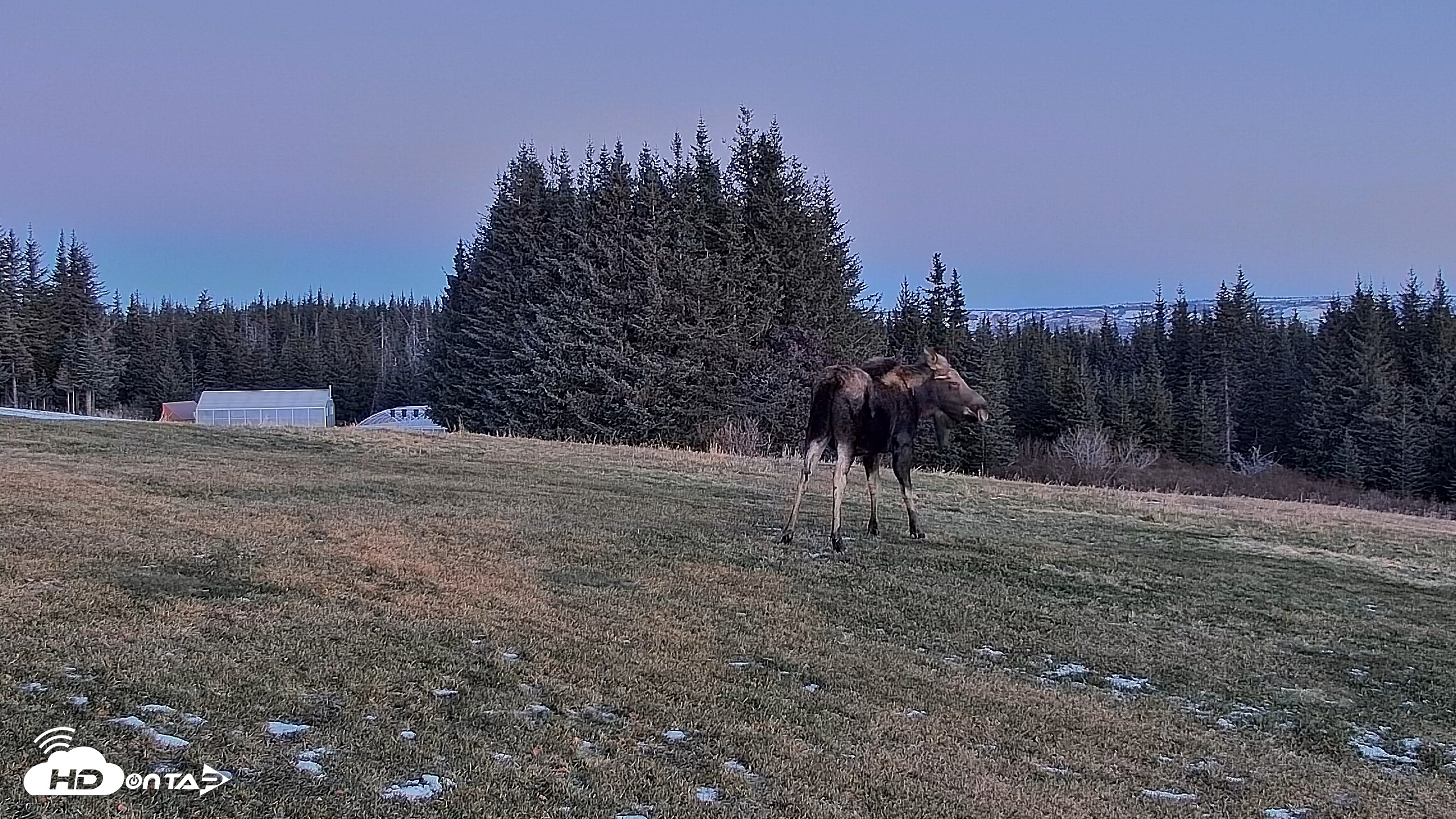 Snapshot of Inspiration Ridge - Homer Alaska Live Webcam taken Dec 12, 2025, 9:40am AKST