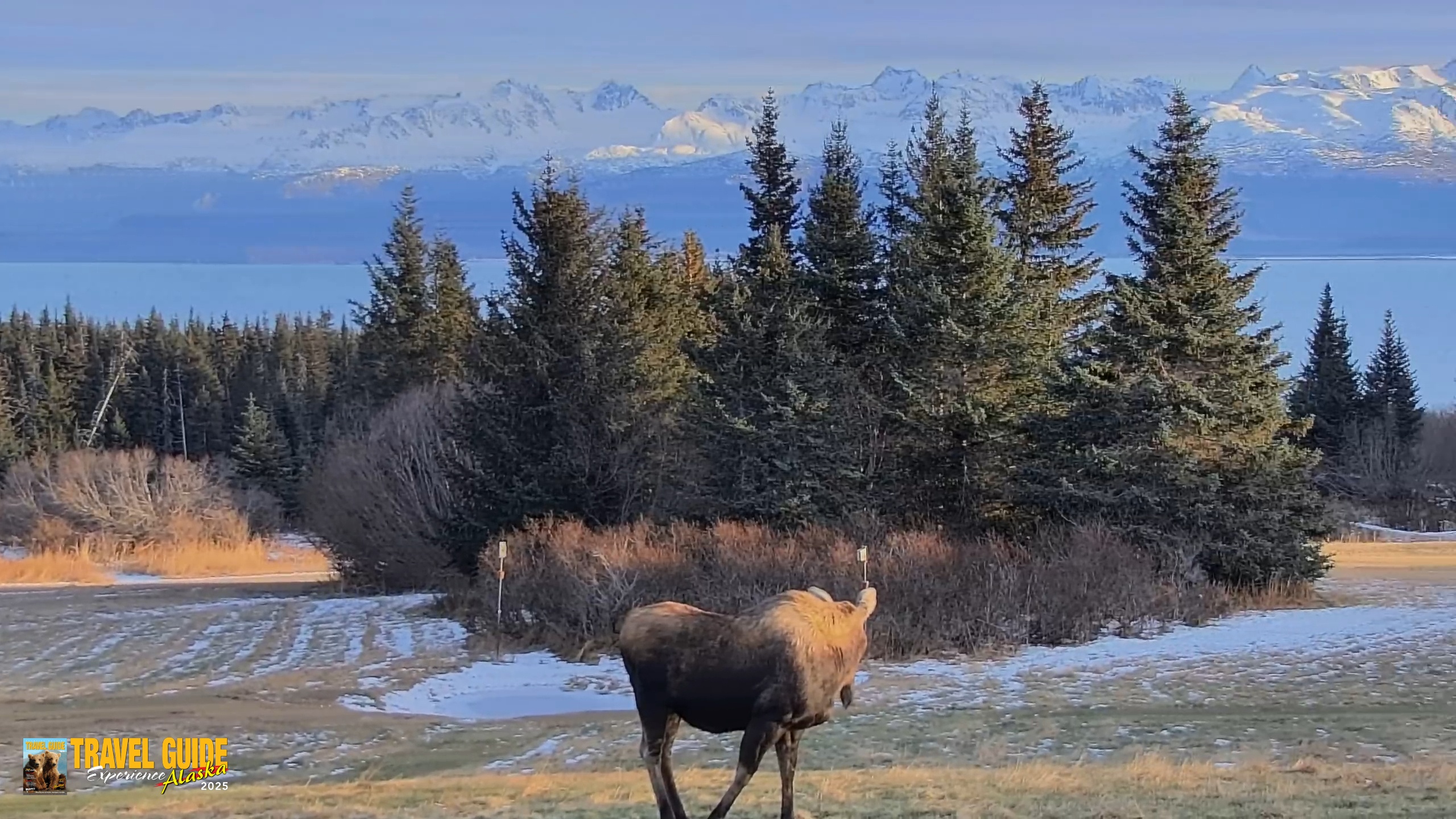 Snapshot of Inspiration Ridge - Homer Alaska Live Webcam taken Dec 22, 2025, 2:10pm AKST