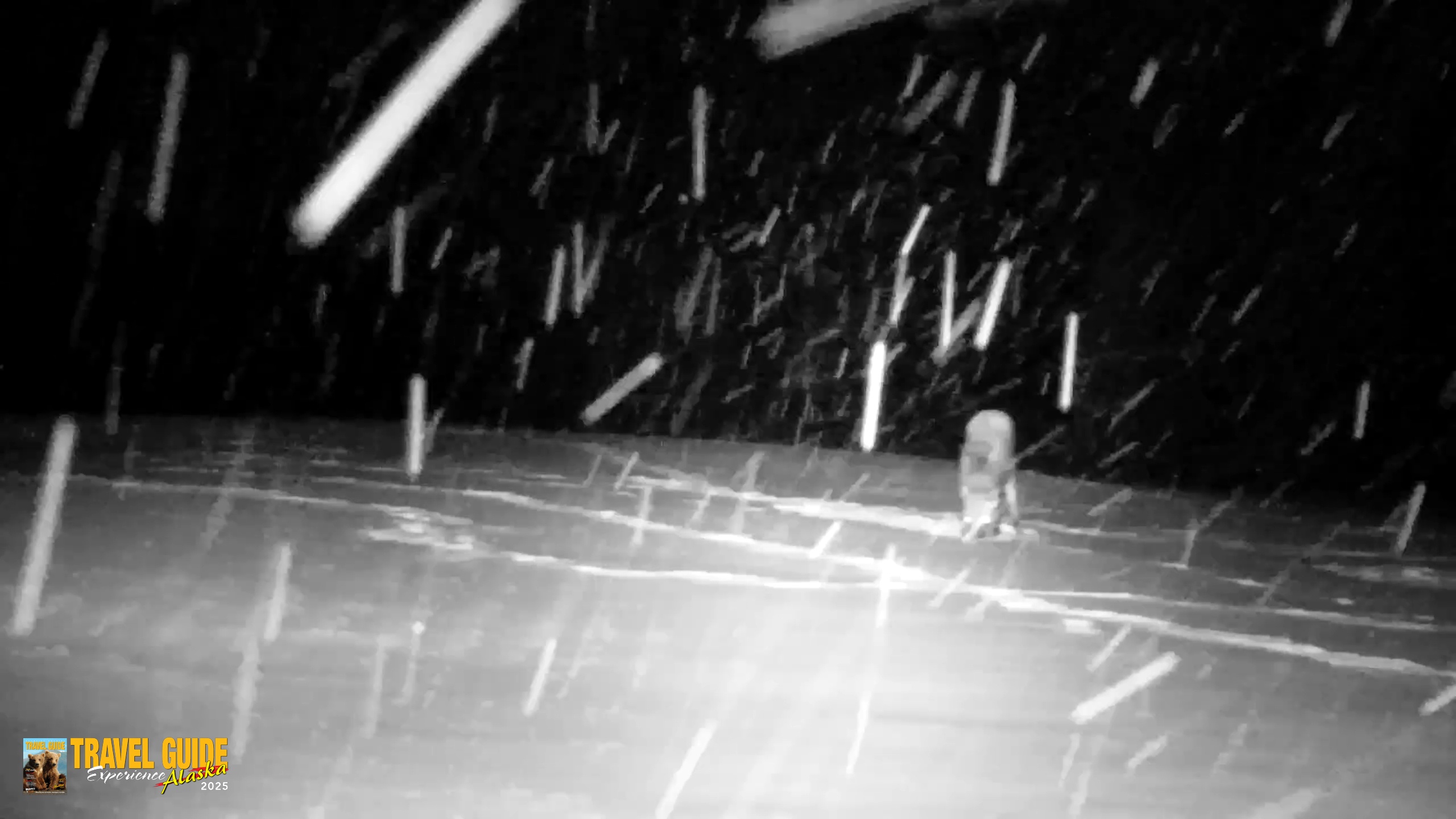 Snapshot of Inspiration Ridge - Homer Alaska Live Webcam taken Jan 5, 2026, 9:32pm AKST