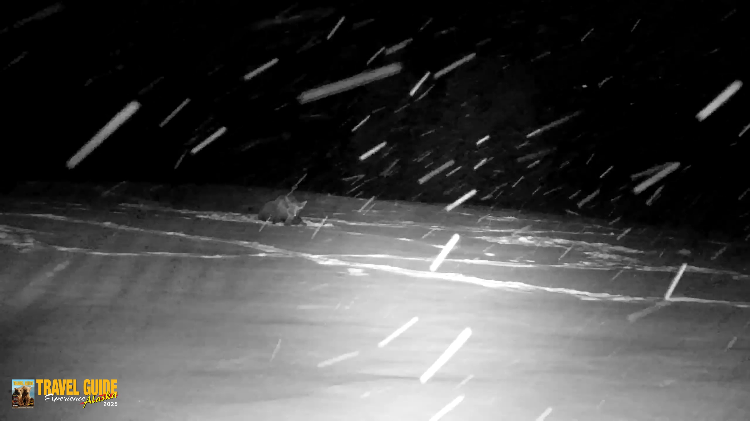 Snapshot of Inspiration Ridge - Homer Alaska Live Webcam taken Jan 5, 2026, 9:42pm AKST