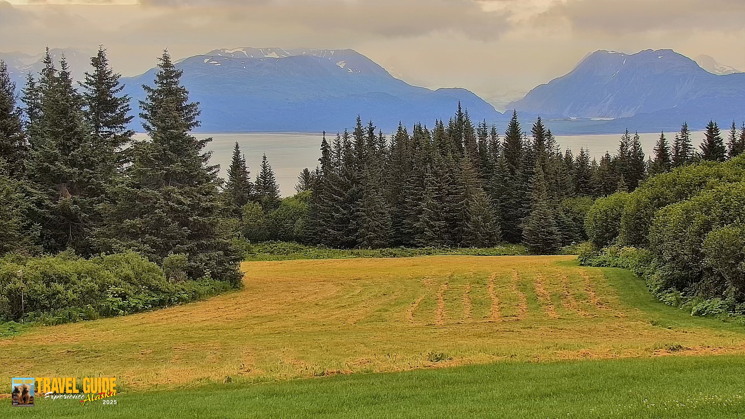Snapshot of Inspiration Ridge - Homer Alaska Live Webcam taken Aug 16, 2026, 7:55am AKDT