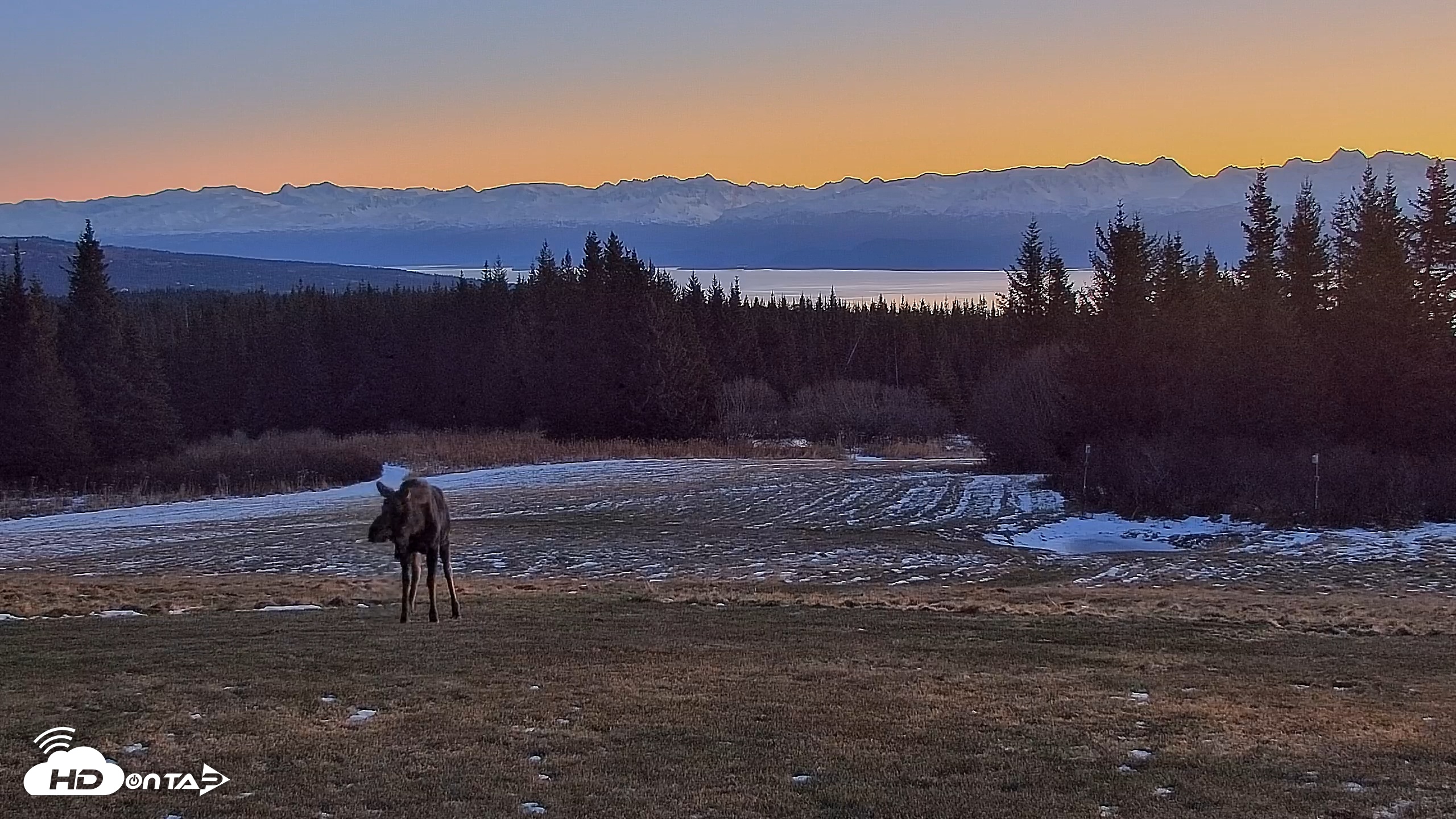 Snapshot of Inspiration Ridge - Homer Alaska Live Webcam taken Dec 12, 2025, 9:14am AKST