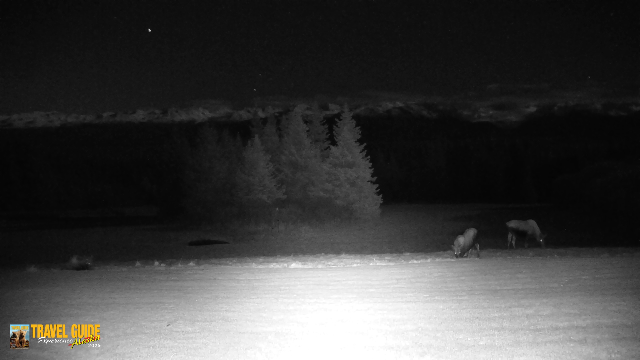 Snapshot of Inspiration Ridge - Homer Alaska Live Webcam taken Oct 22, 2026, 12:11am AKDT