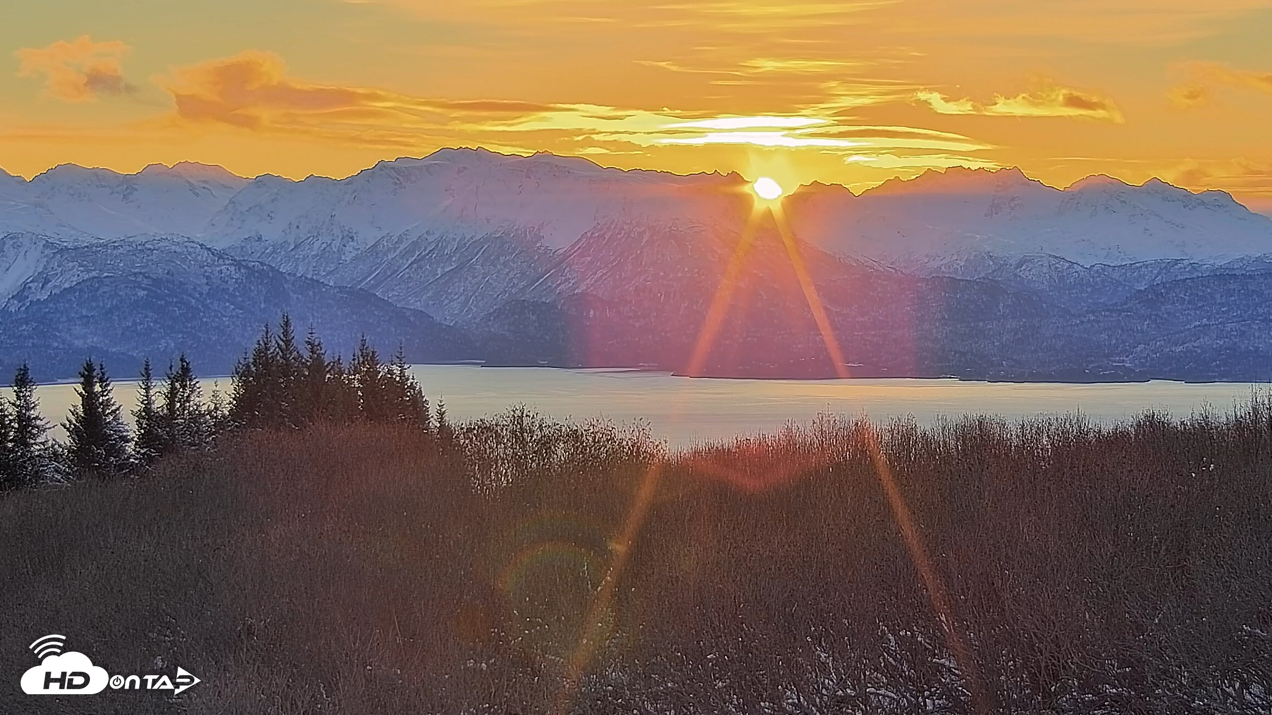 Snapshot of Inspiration Ridge - Homer Alaska Live Webcam taken Nov 24, 2025, 9:47am AKST