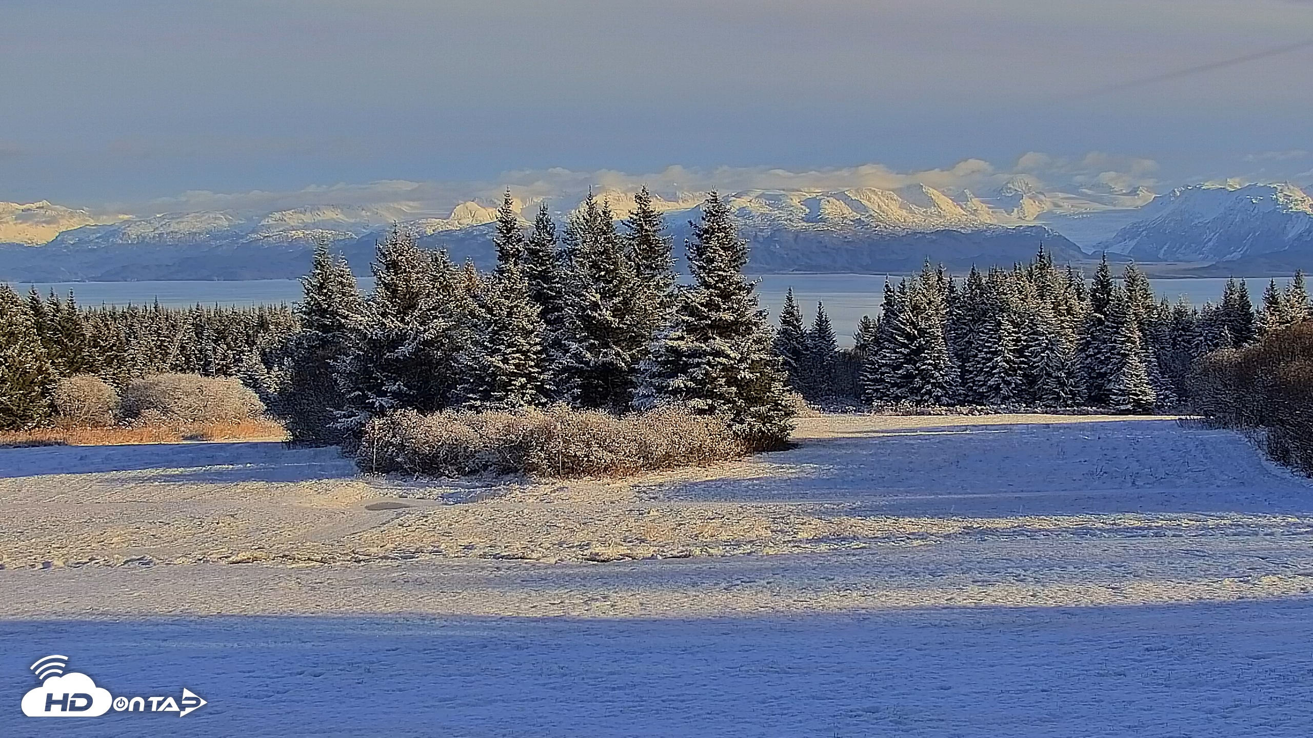 Snapshot of Inspiration Ridge - Homer Alaska Live Webcam taken Nov 5, 2025, 2:23pm AKST
