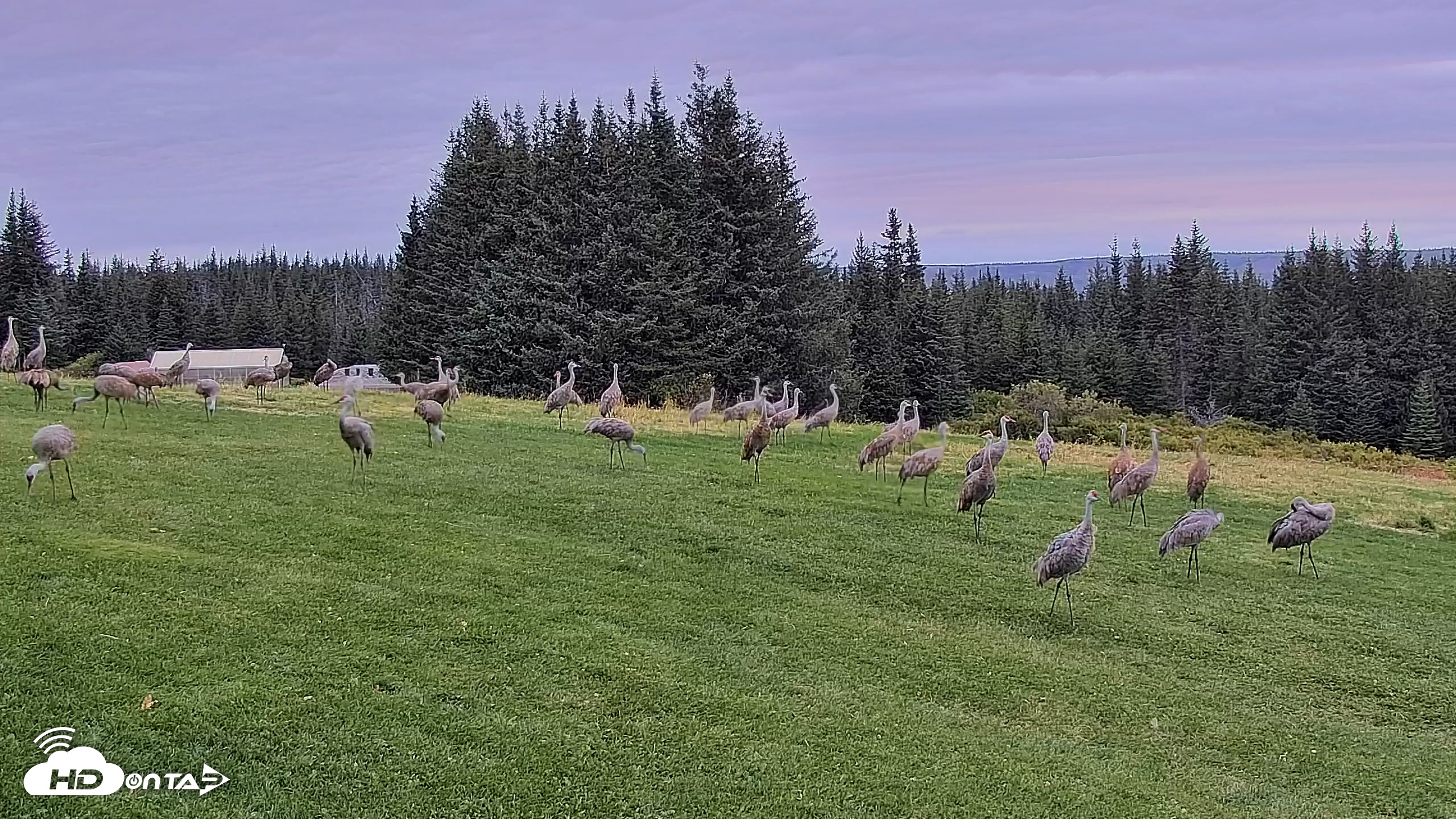 Snapshot of Inspiration Ridge - Homer Alaska Live Webcam taken Sep 6, 2025, 8:33am AKDT