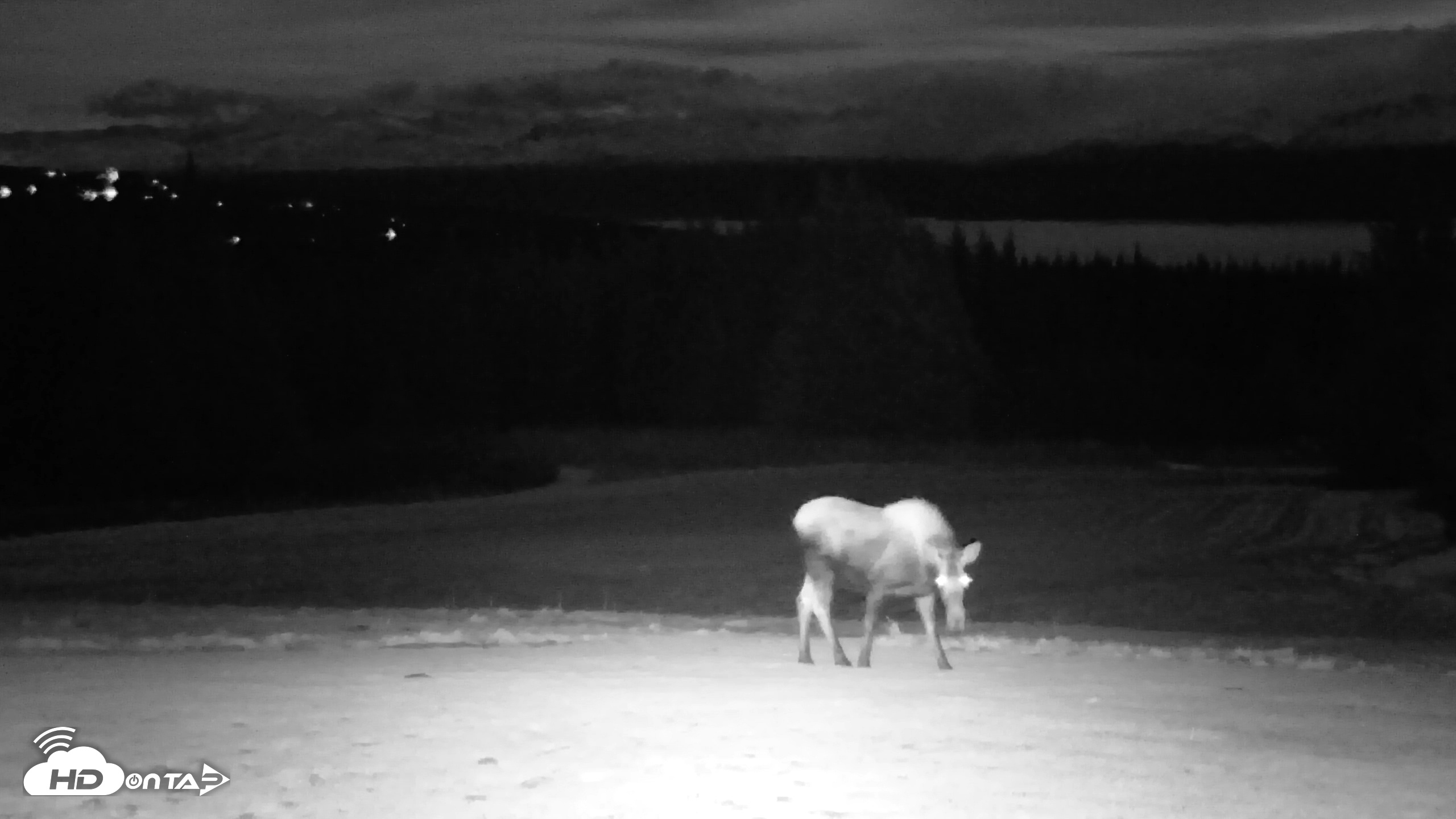 Snapshot of Inspiration Ridge - Homer Alaska Live Webcam taken Dec 2, 2025, 6:14pm AKST