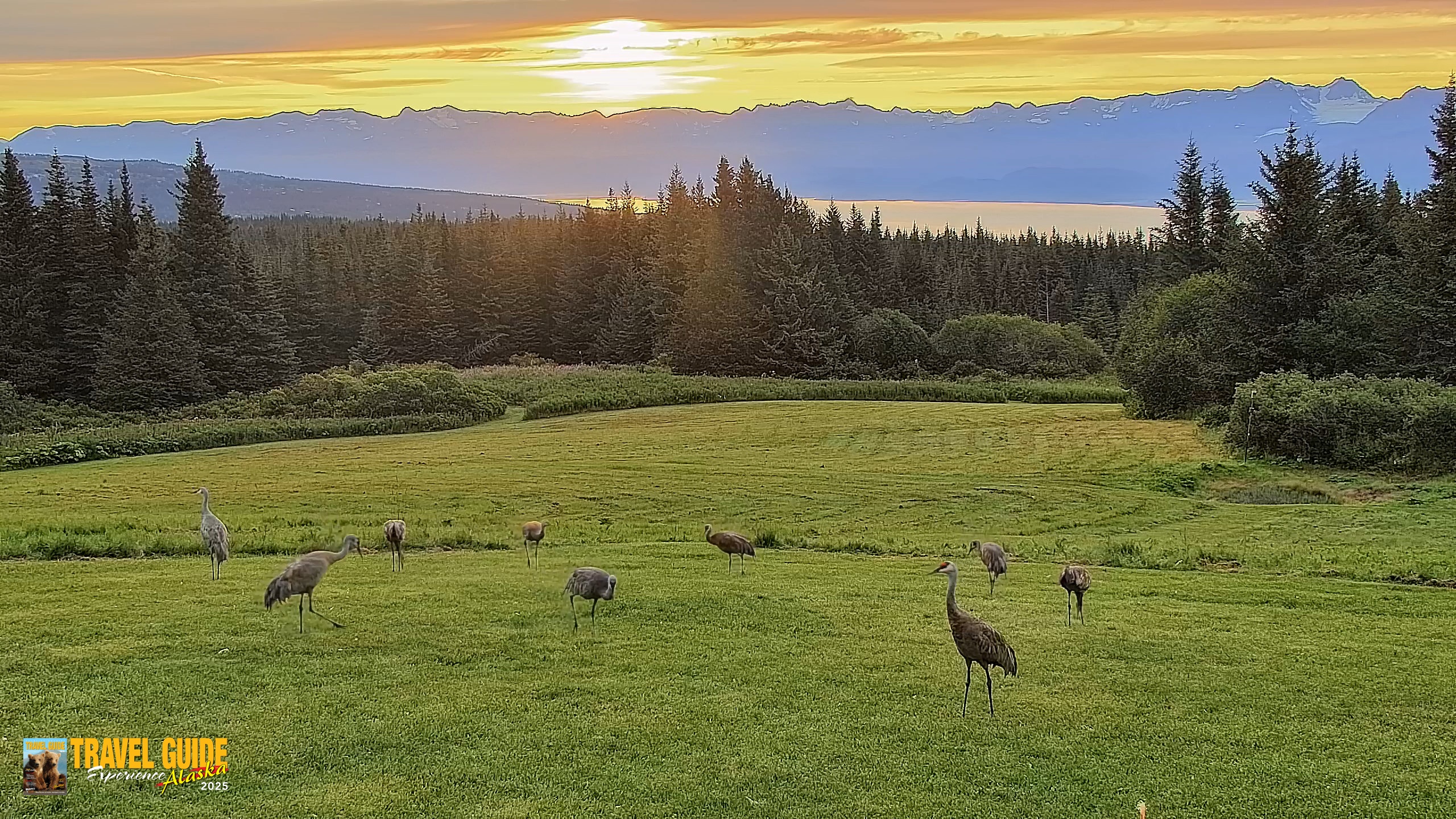 Snapshot of Inspiration Ridge - Homer Alaska Live Webcam taken Aug 24, 2026, 7:22am AKDT