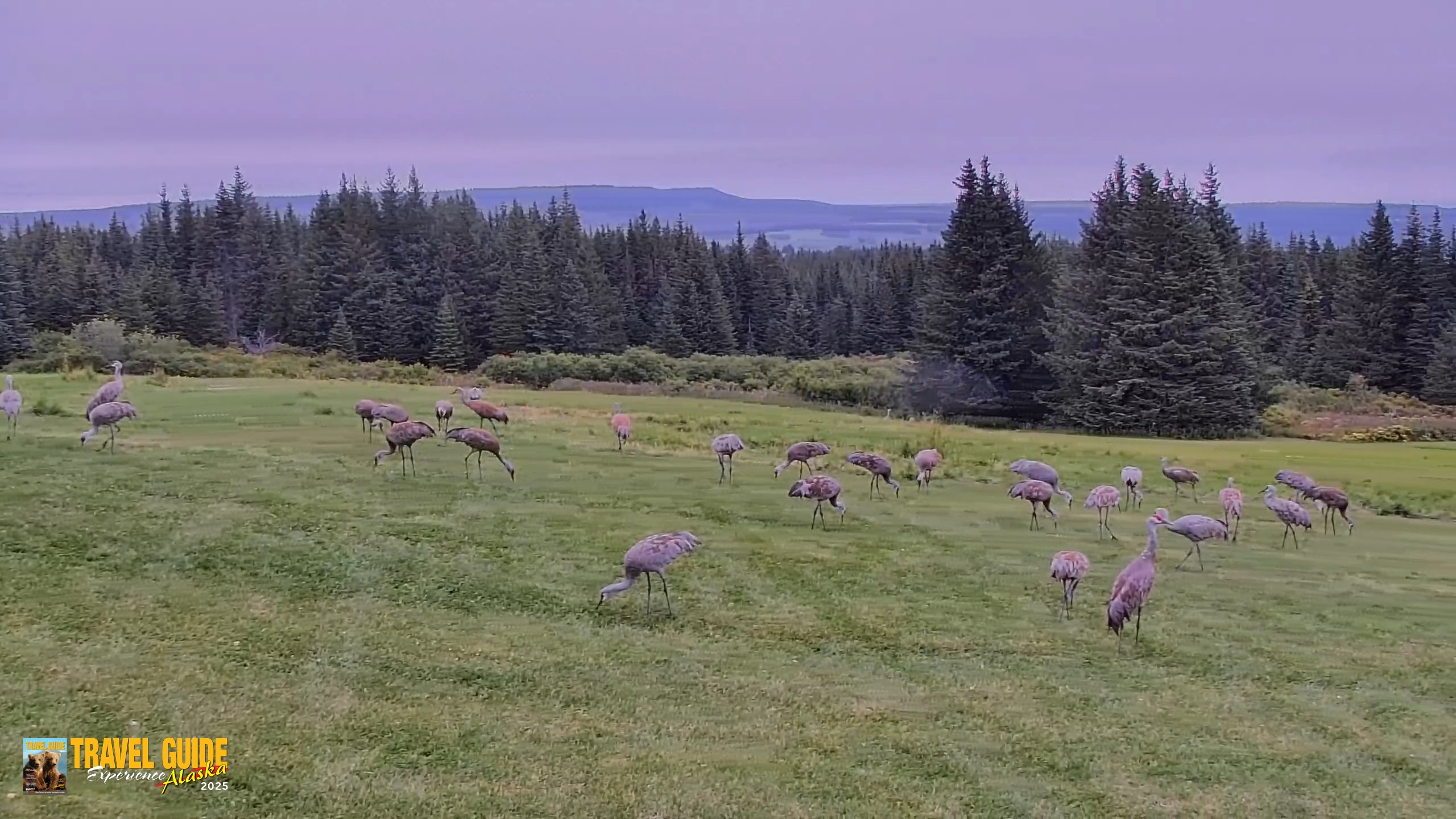 Snapshot of Inspiration Ridge - Homer Alaska Live Webcam taken Sep 4, 2026, 9:26pm AKDT