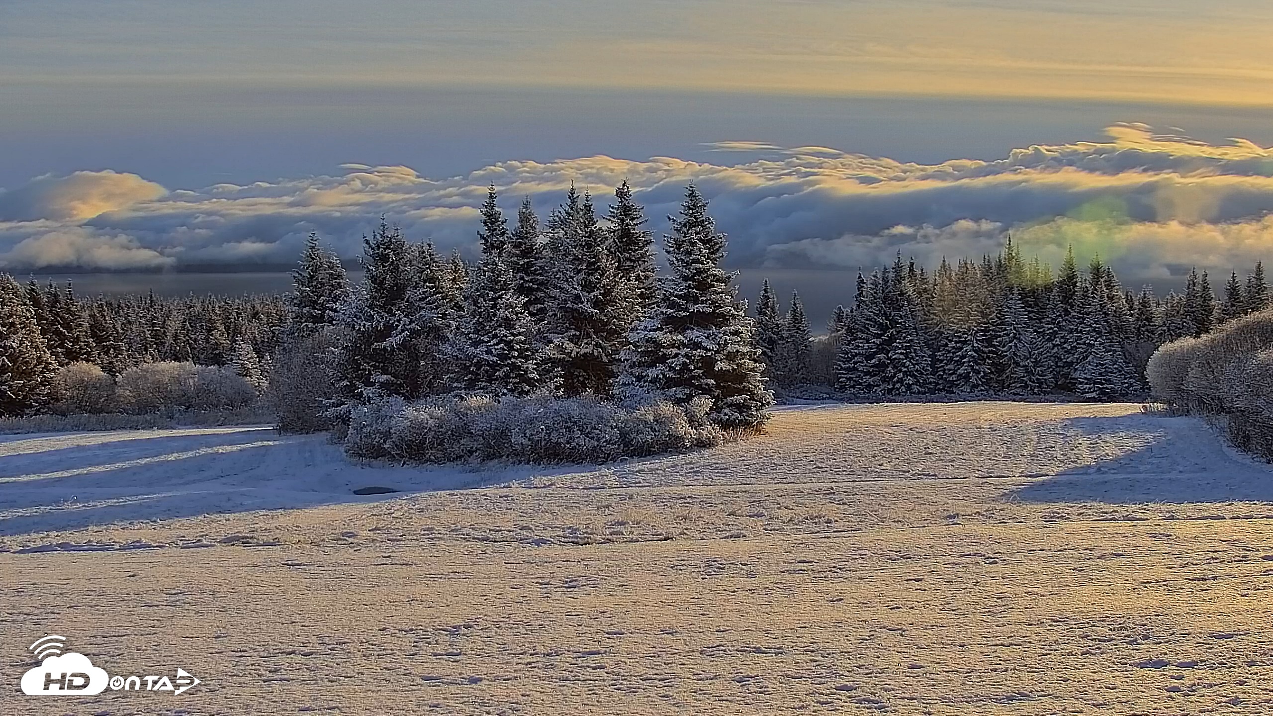 Snapshot of Inspiration Ridge - Homer Alaska Live Webcam taken Nov 5, 2025, 9:46am AKST