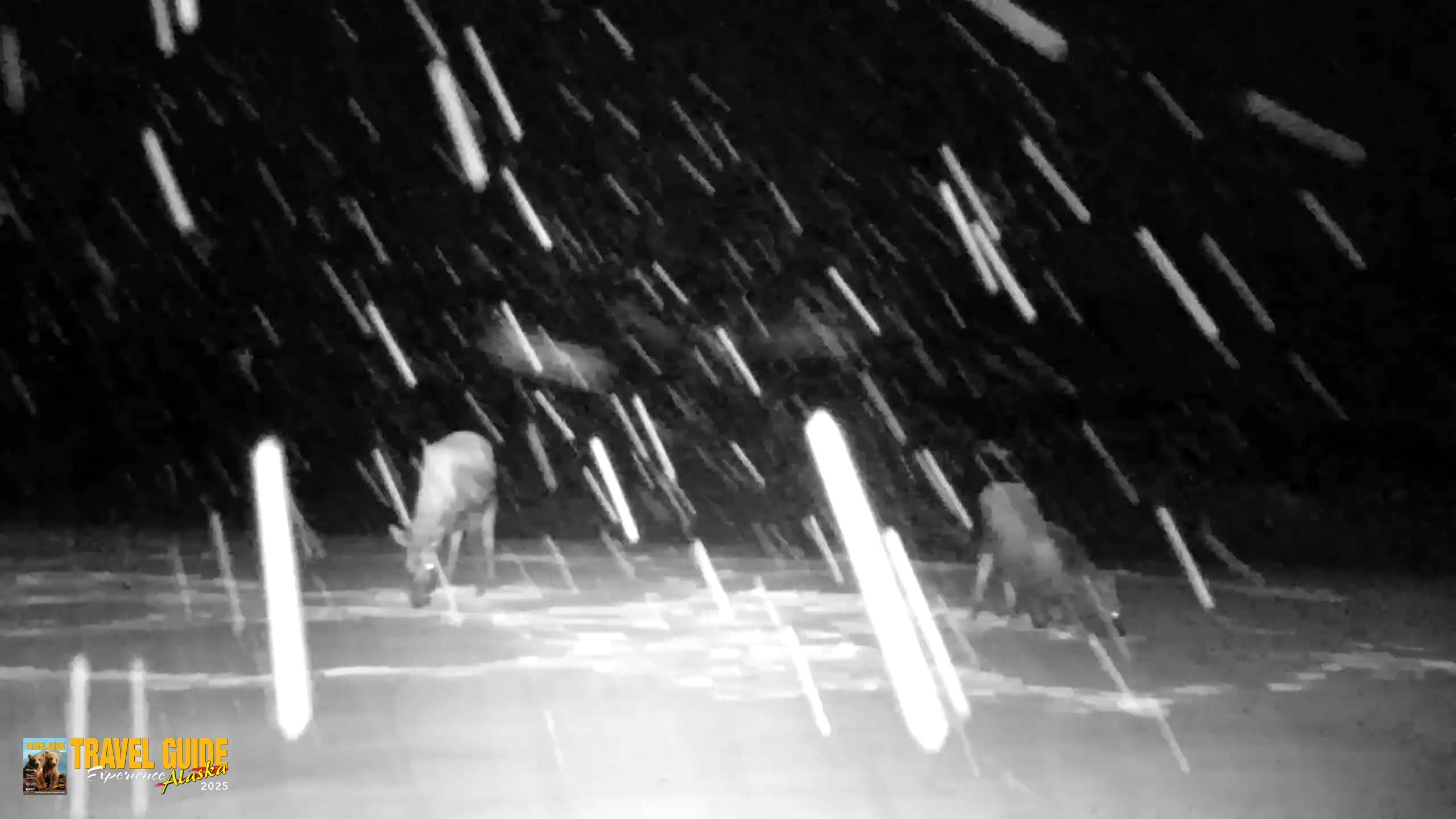 Snapshot of Inspiration Ridge - Homer Alaska Live Webcam taken Jan 5, 2026, 9:35pm AKST