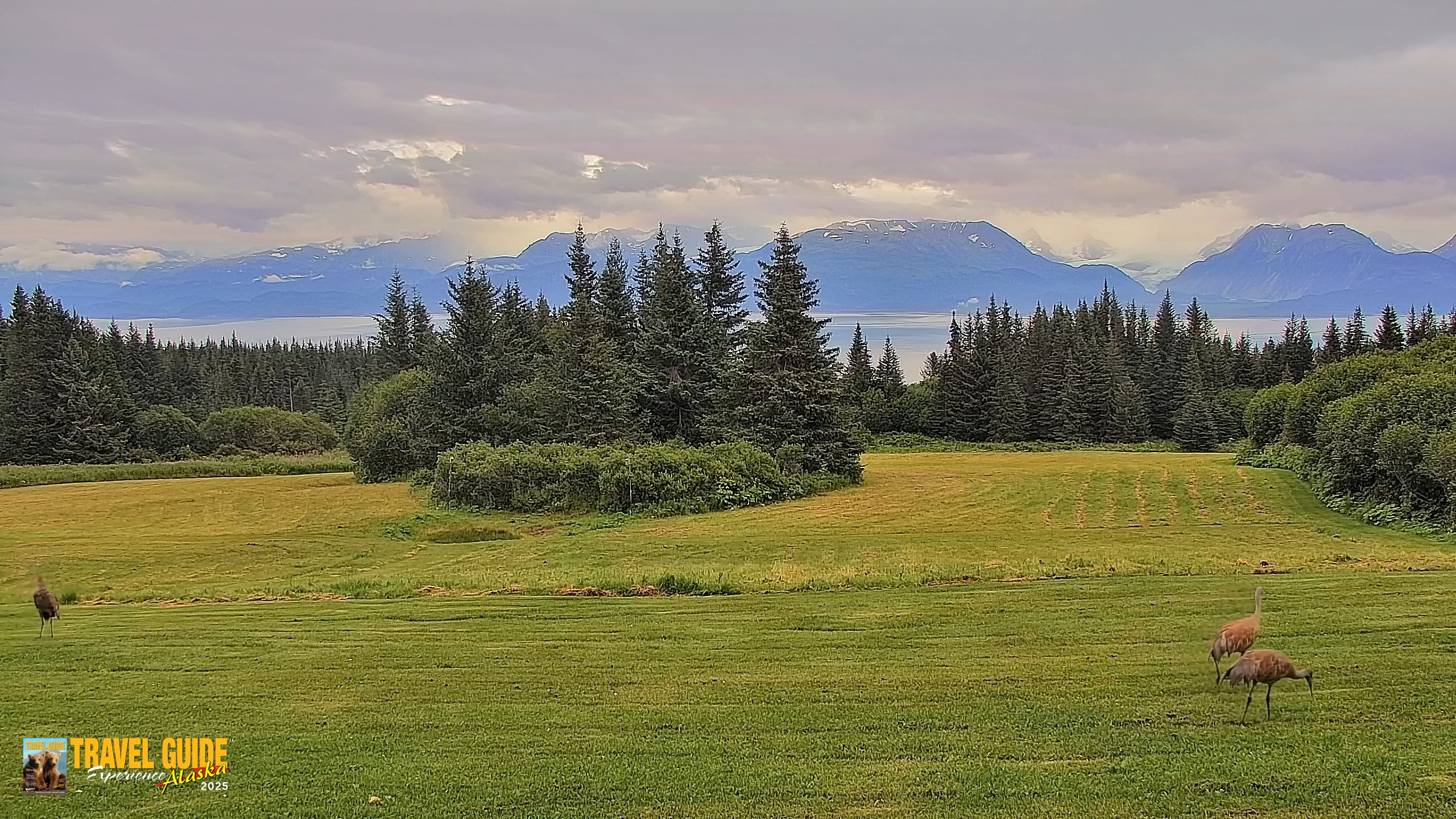 Snapshot of Inspiration Ridge - Homer Alaska Live Webcam taken Aug 19, 2026, 7:09pm AKDT