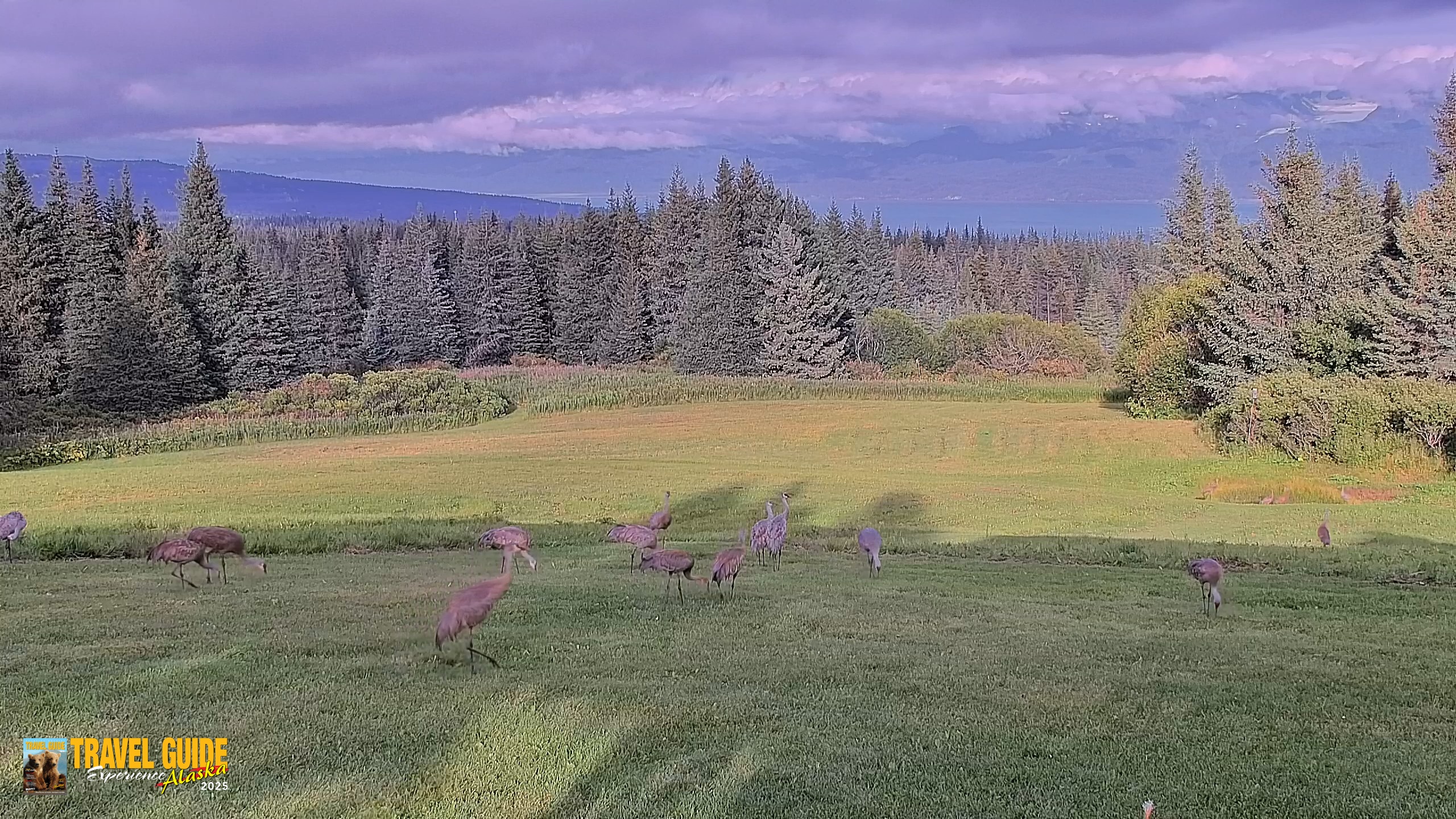 Snapshot of Inspiration Ridge - Homer Alaska Live Webcam taken Aug 25, 2026, 7:23pm AKDT
