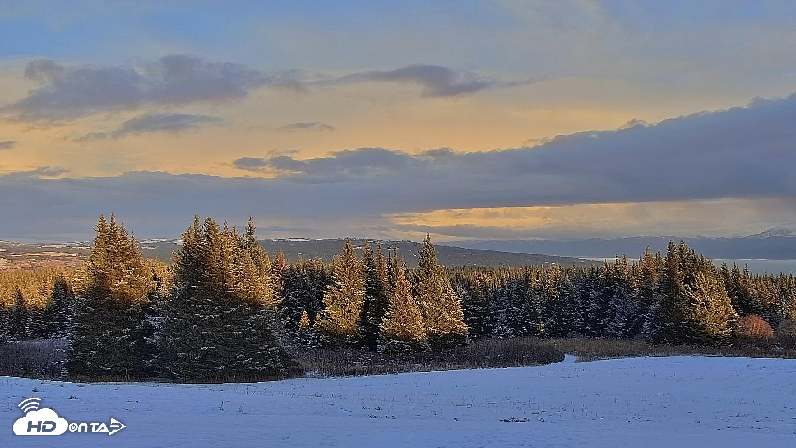 Snapshot of Inspiration Ridge - Homer Alaska Live Webcam taken Nov 17, 2025, 5:00pm AKST