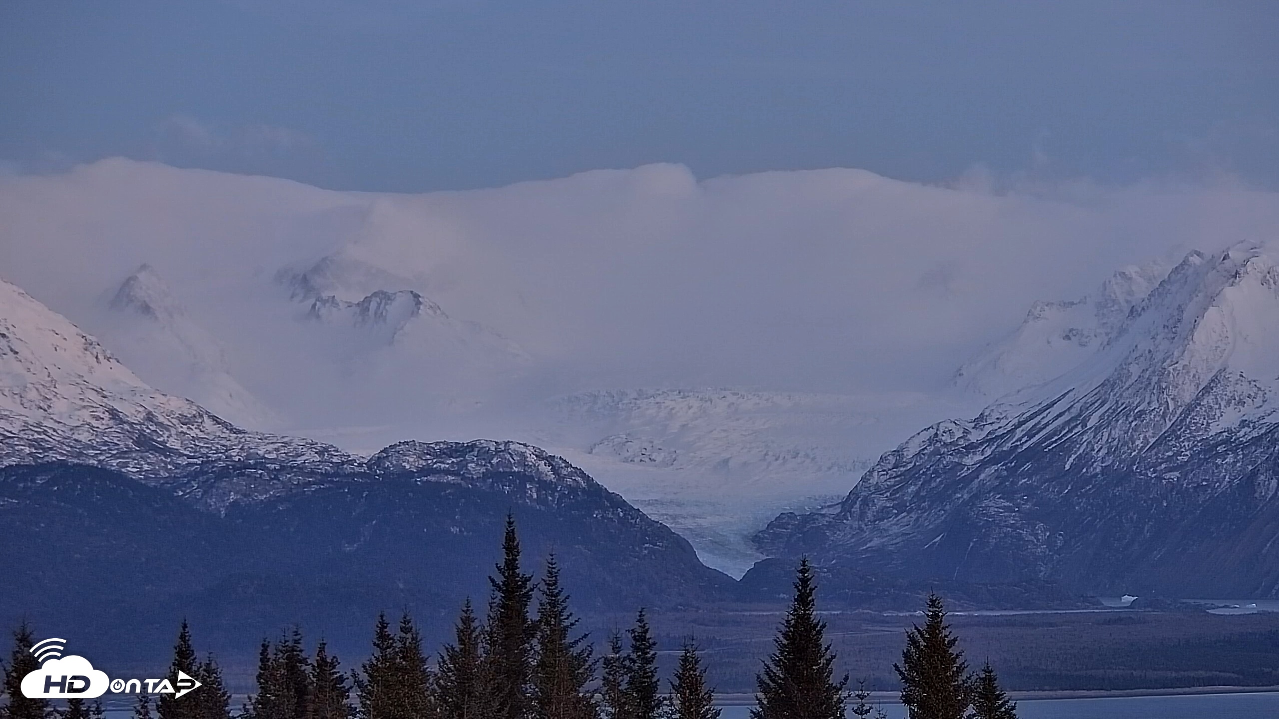 Snapshot of Inspiration Ridge - Homer Alaska Live Webcam taken Nov 19, 2025, 5:03pm AKST