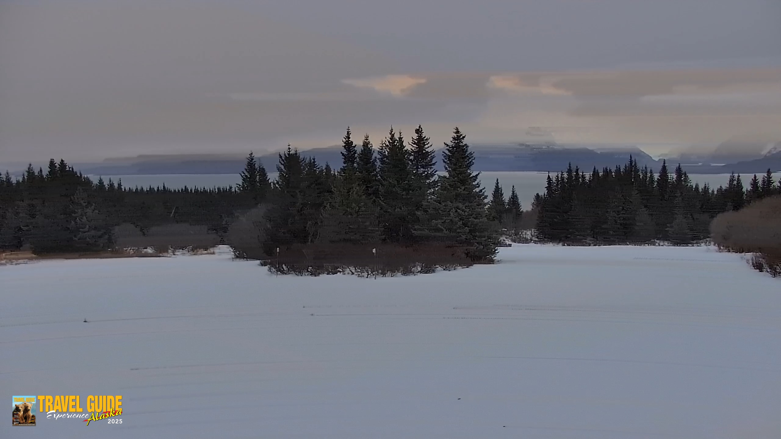 Snapshot of Inspiration Ridge - Homer Alaska Live Webcam taken Jan 17, 2026, 10:08am AKST
