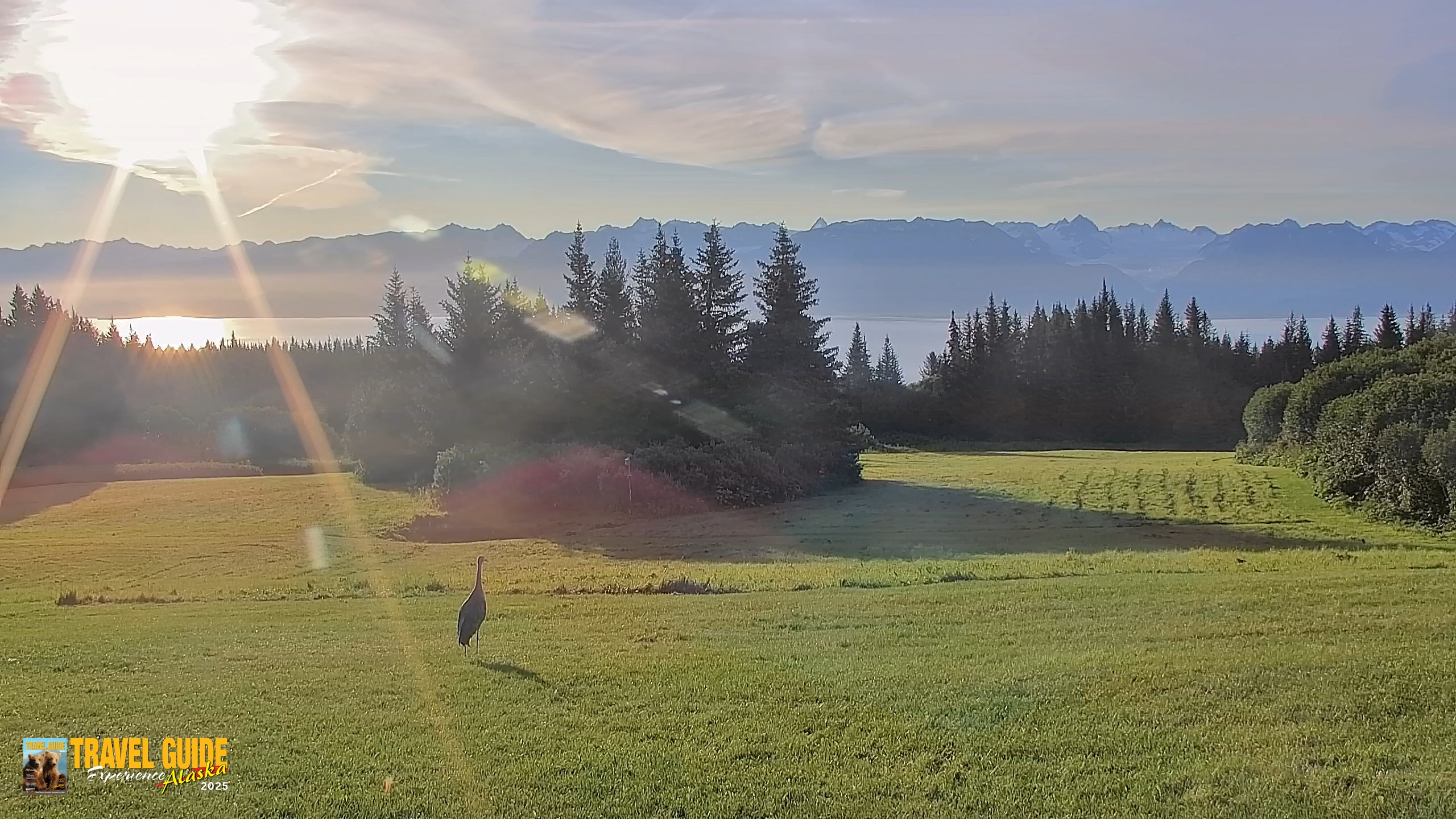 Snapshot of Inspiration Ridge - Homer Alaska Live Webcam taken Aug 27, 2026, 7:56am AKDT