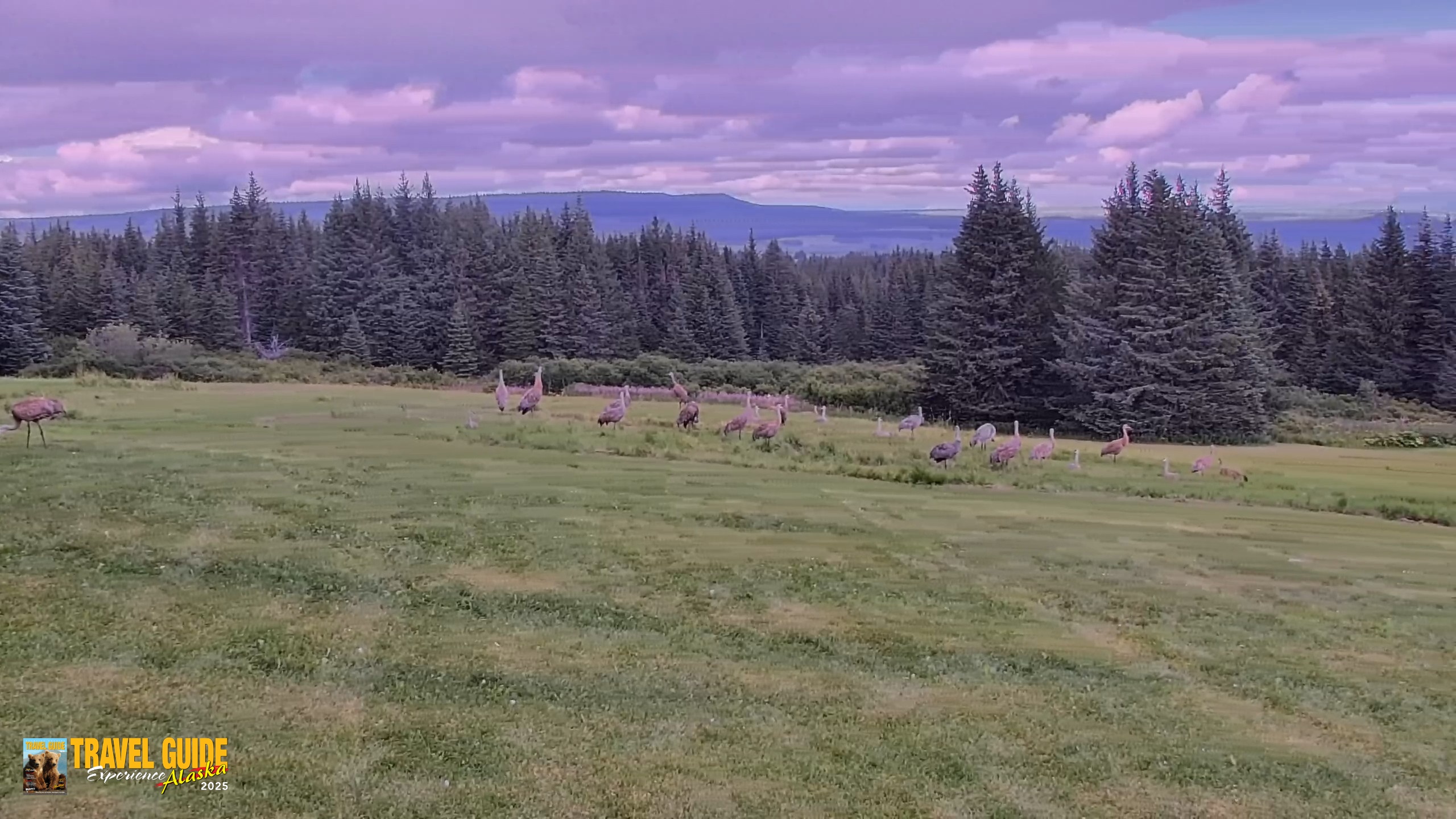 Snapshot of Inspiration Ridge - Homer Alaska Live Webcam taken Aug 23, 2026, 10:25pm AKDT