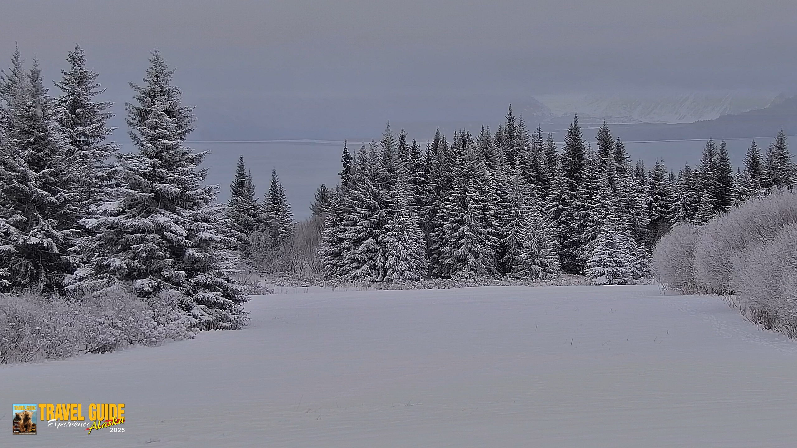 Snapshot of Inspiration Ridge - Homer Alaska Live Webcam taken Jan 11, 2026, 4:10pm AKST