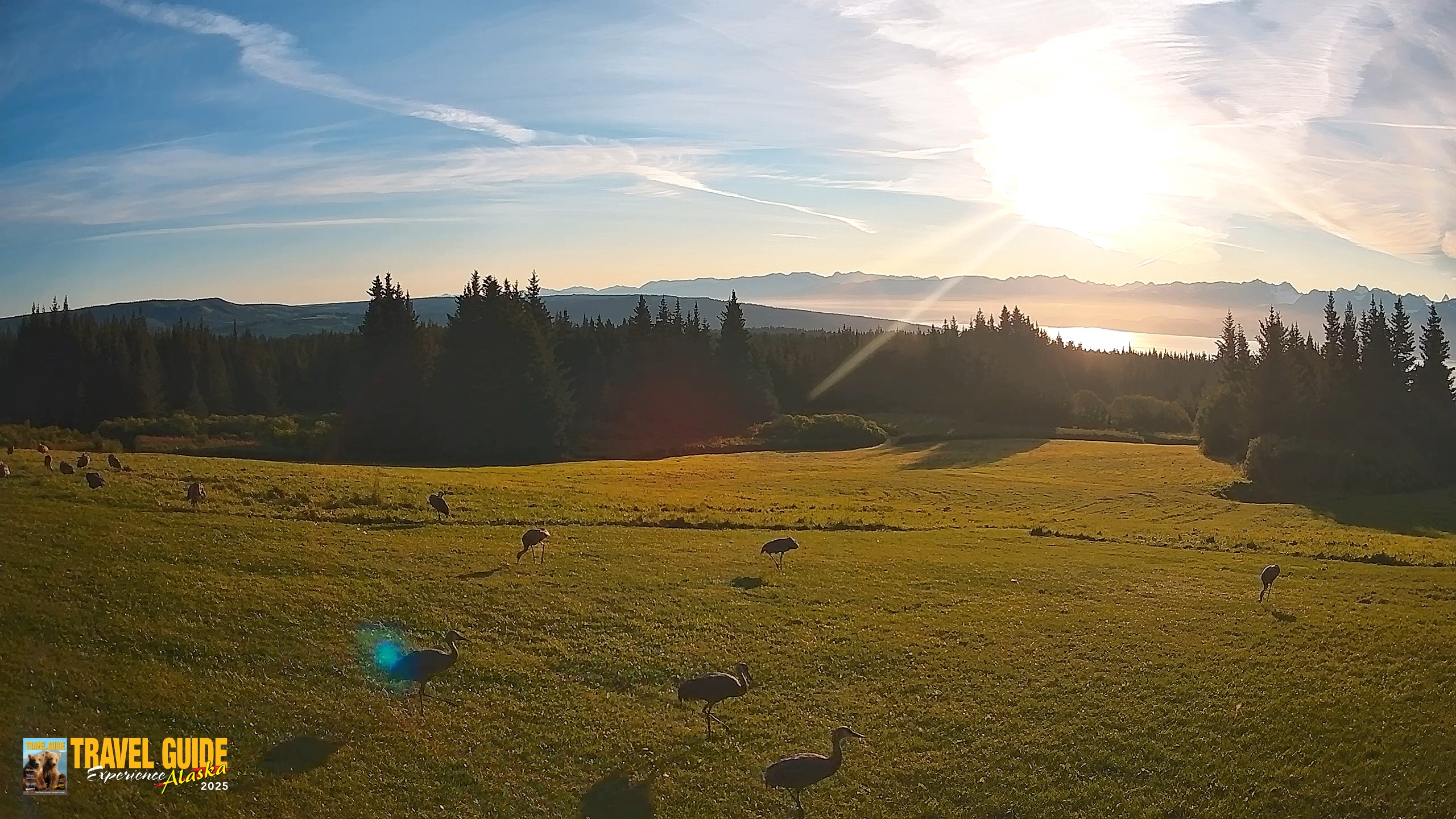 Snapshot of Inspiration Ridge - Homer Alaska Live Webcam taken Aug 27, 2026, 7:57am AKDT