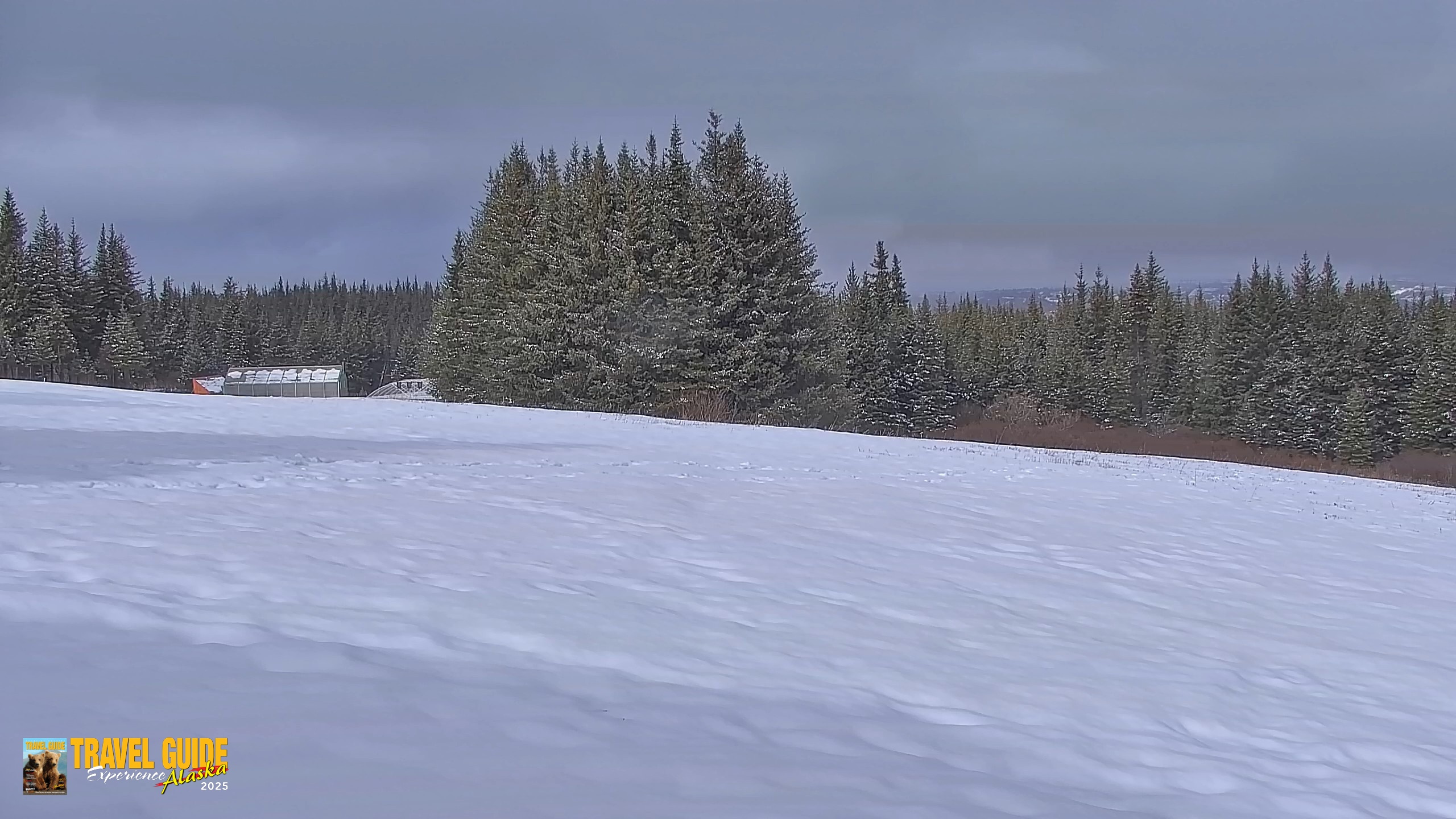 Snapshot of Inspiration Ridge - Homer Alaska Live Webcam taken Apr 17, 2026, 4:03pm AKDT