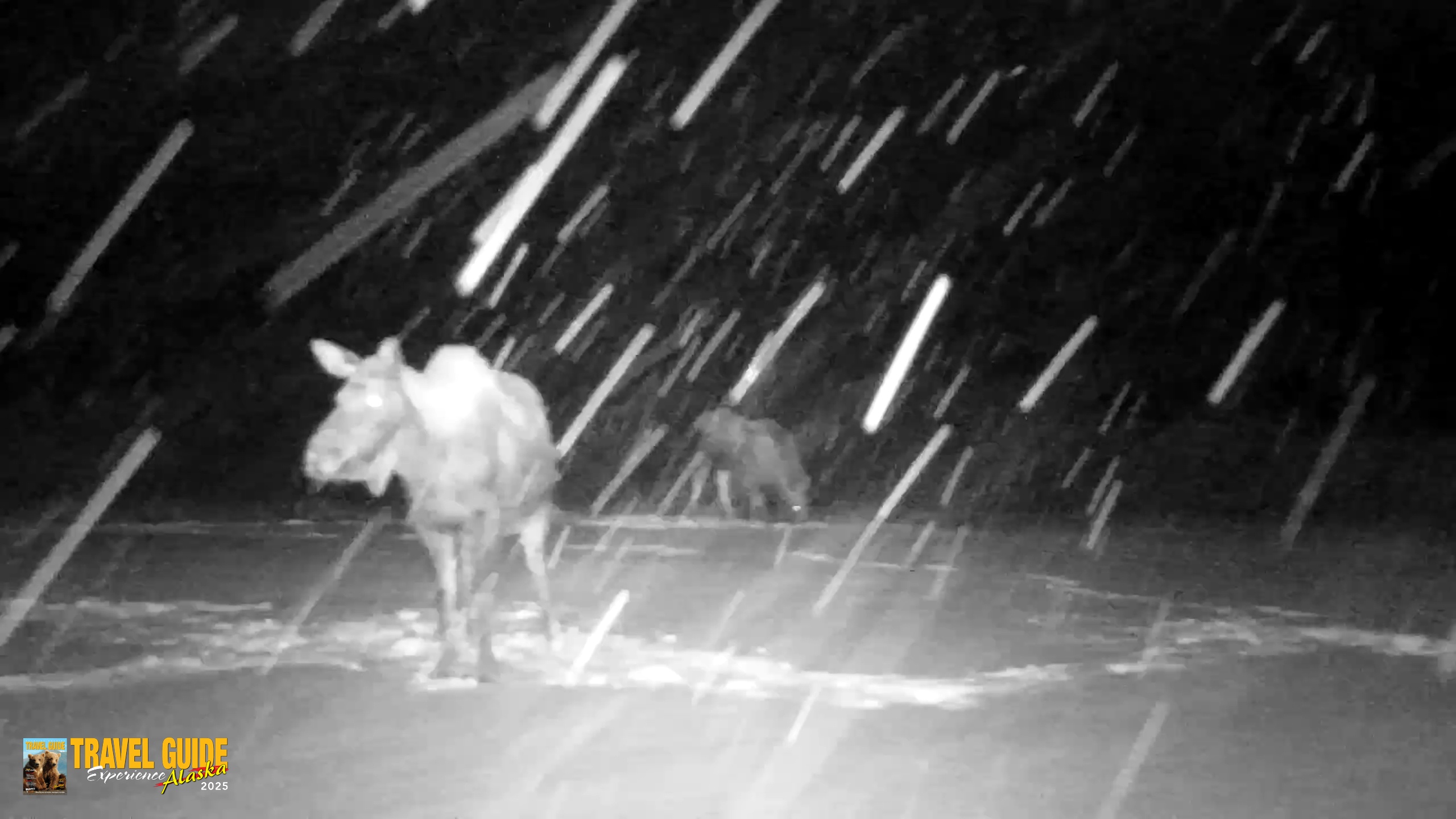 Snapshot of Inspiration Ridge - Homer Alaska Live Webcam taken Jan 5, 2026, 10:05am AKST