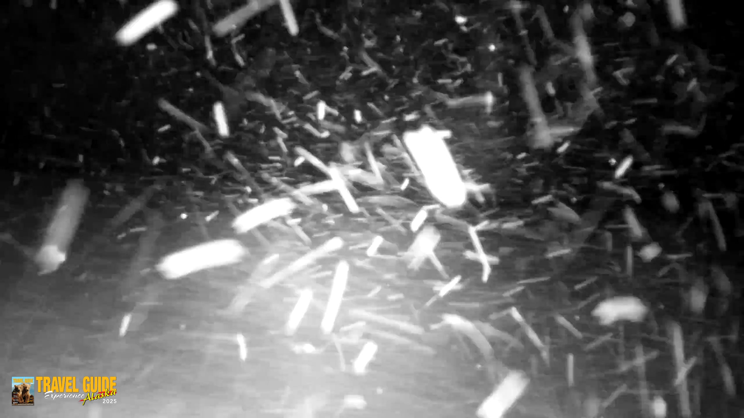 Snapshot of Inspiration Ridge - Homer Alaska Live Webcam taken Jan 6, 2026, 2:26am AKST