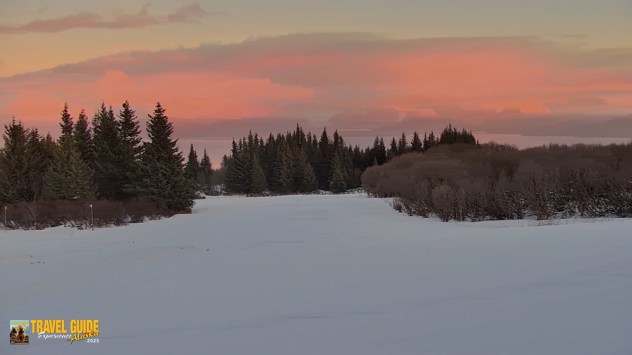 Snapshot of Inspiration Ridge - Homer Alaska Live Webcam taken Feb 14, 2026, 5:51pm AKST