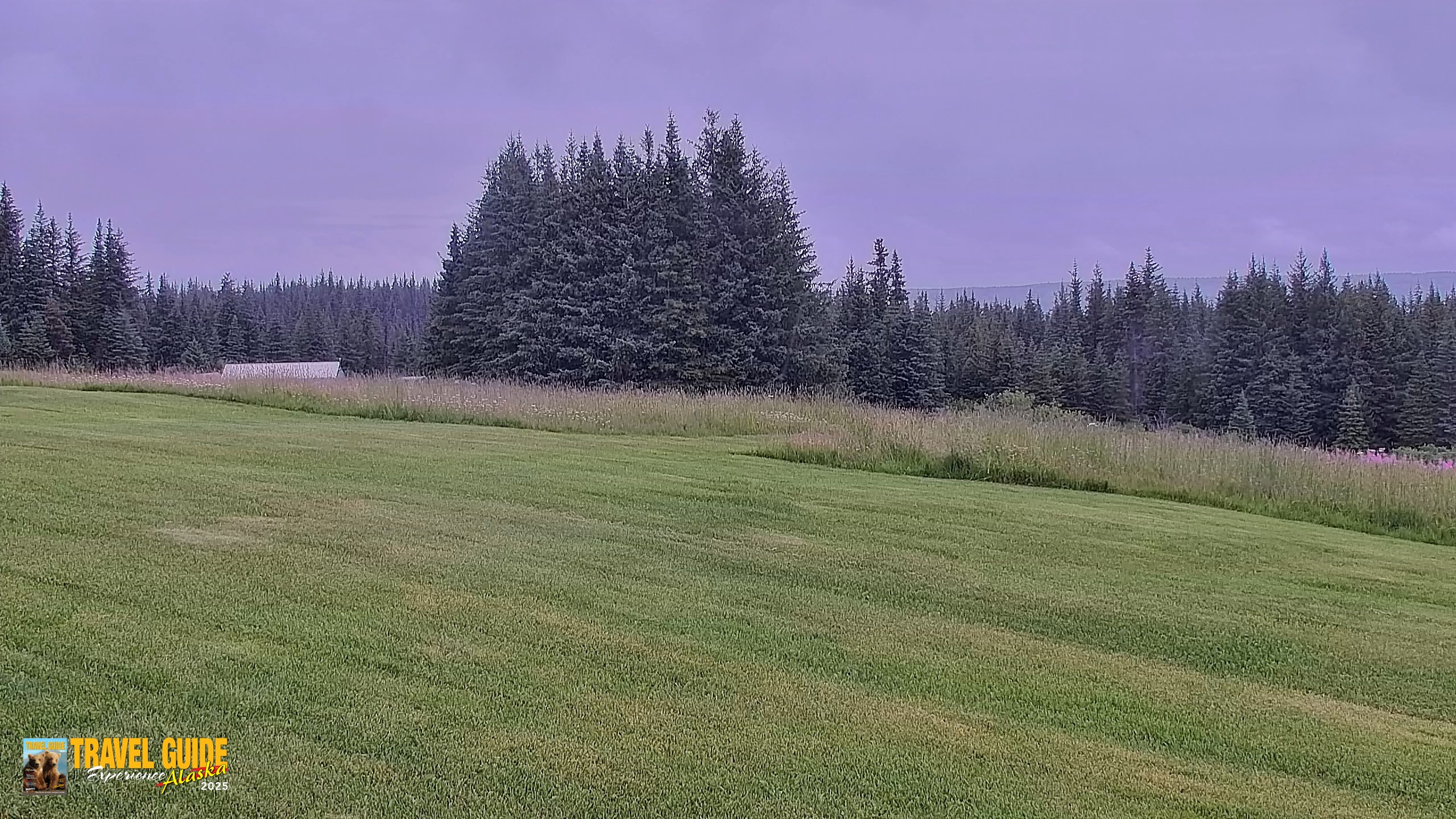 Snapshot of Inspiration Ridge - Homer Alaska Live Webcam taken Aug 5, 2026, 1:37pm AKDT